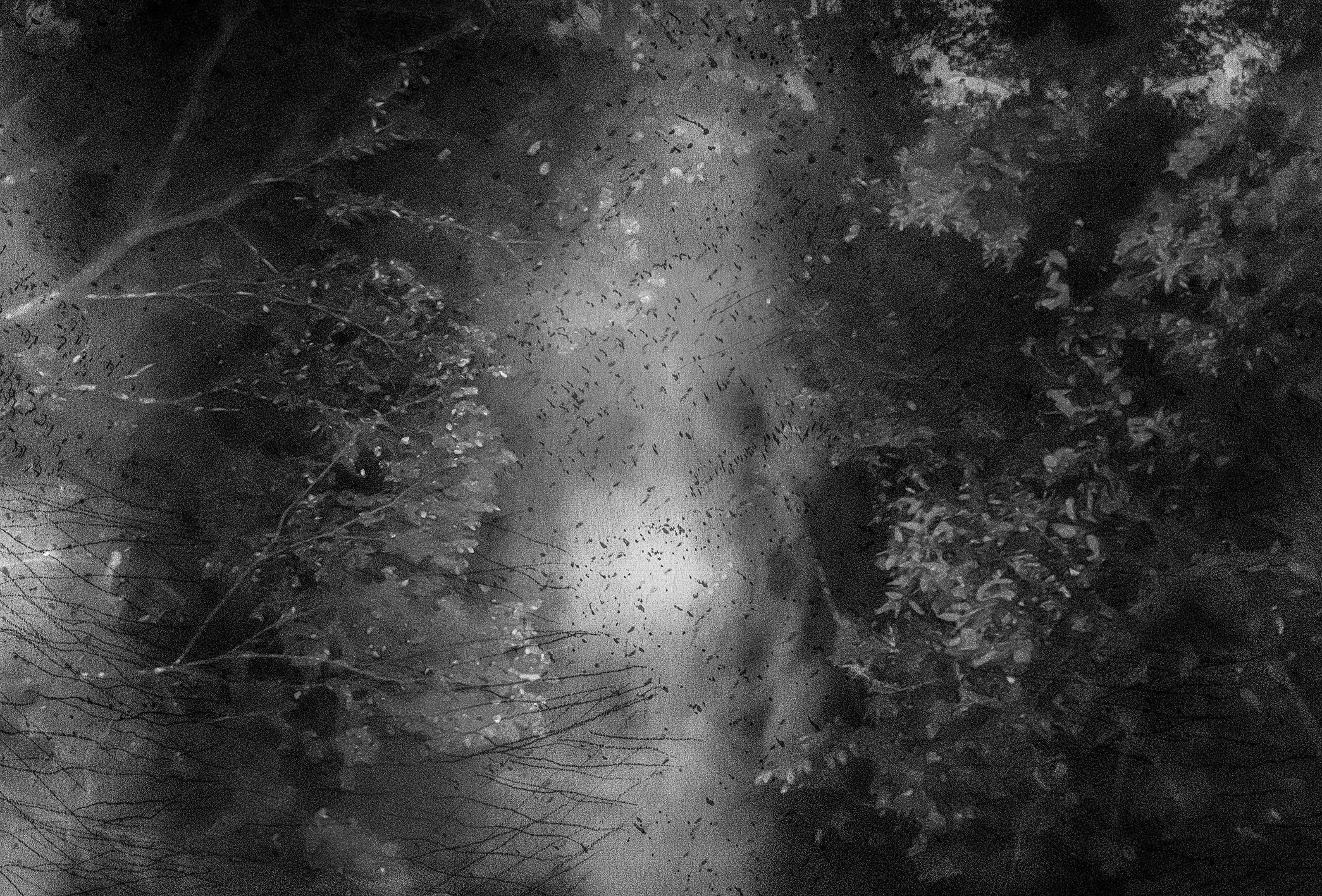 Bodies of Weather 2017–ongoing