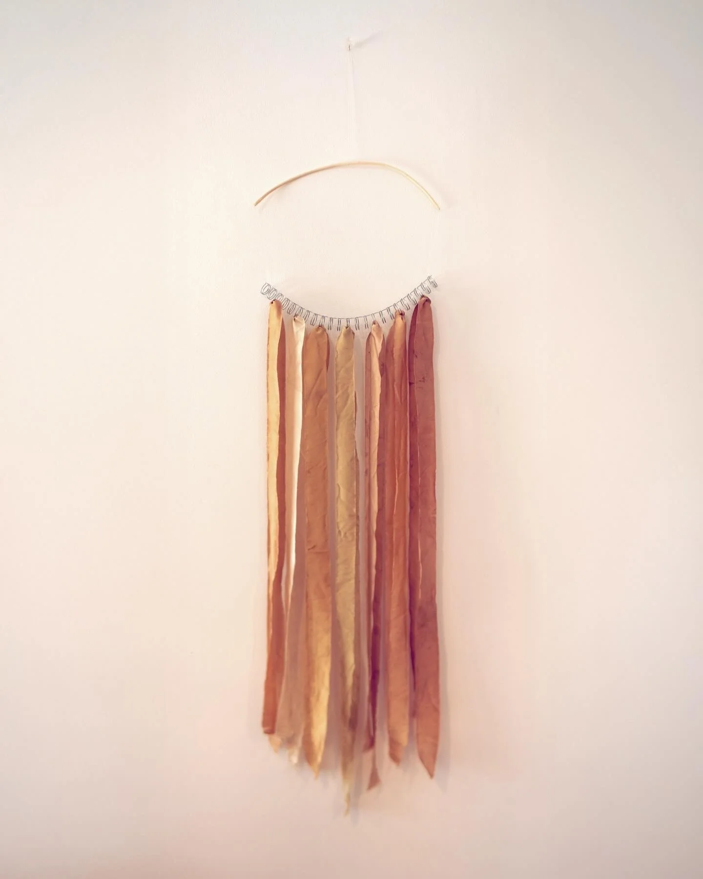 Litmus of time, Spiral calendar ring with, Lichen dye on silk ribbons from daily urine-based ferment, held by steam bent Elm sucker, earliest colour trials, from inks in Mount Egerton 2024 assembled in 2025