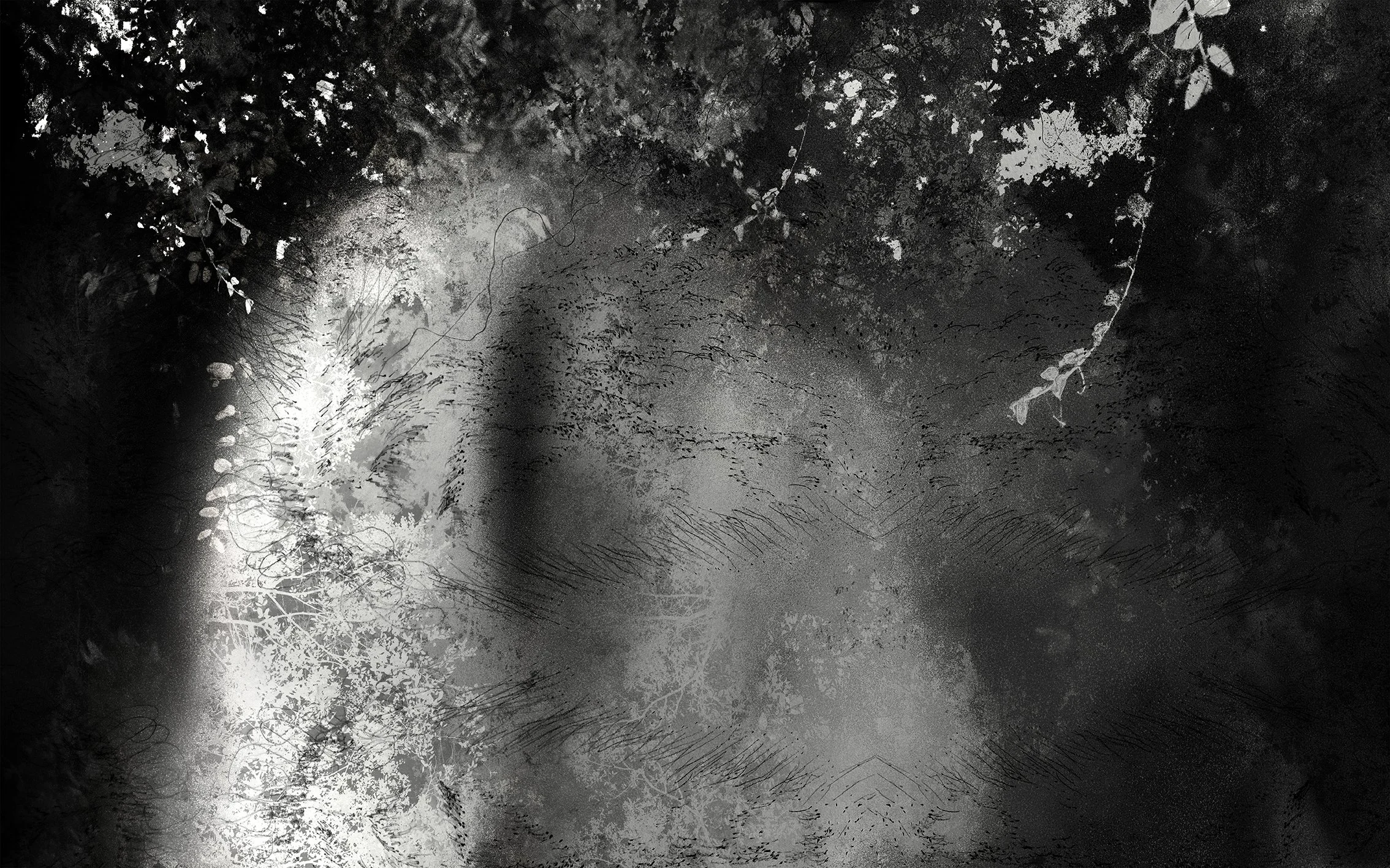 Layered photograph and drawing showing blurred forest forms and body outlines, black and white