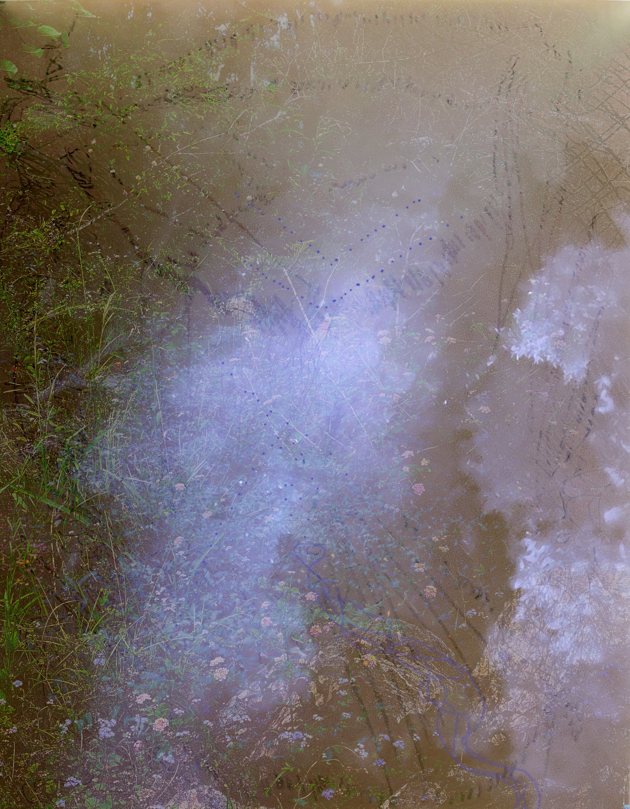 Layered colour image combining forest canopy, light leaks, and drawn figure and abstract contours