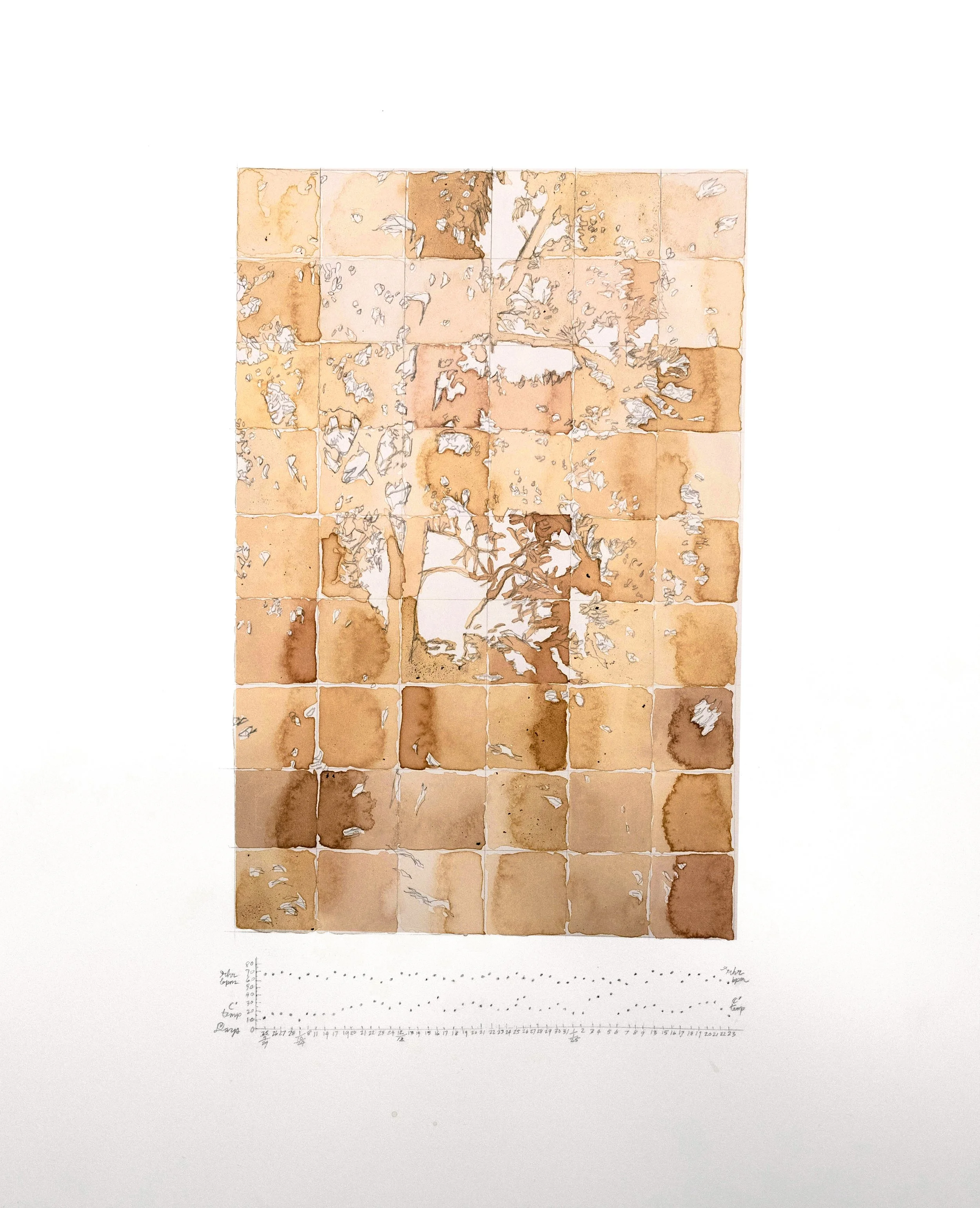 Waters’ Colour 2025

A 54 day record of body and place. Each square holds wind, temperature, heart rate variability and resting pulse, written into lichen ink made from ethically gathered windfall species. The ink forms its own terrain, merging with 