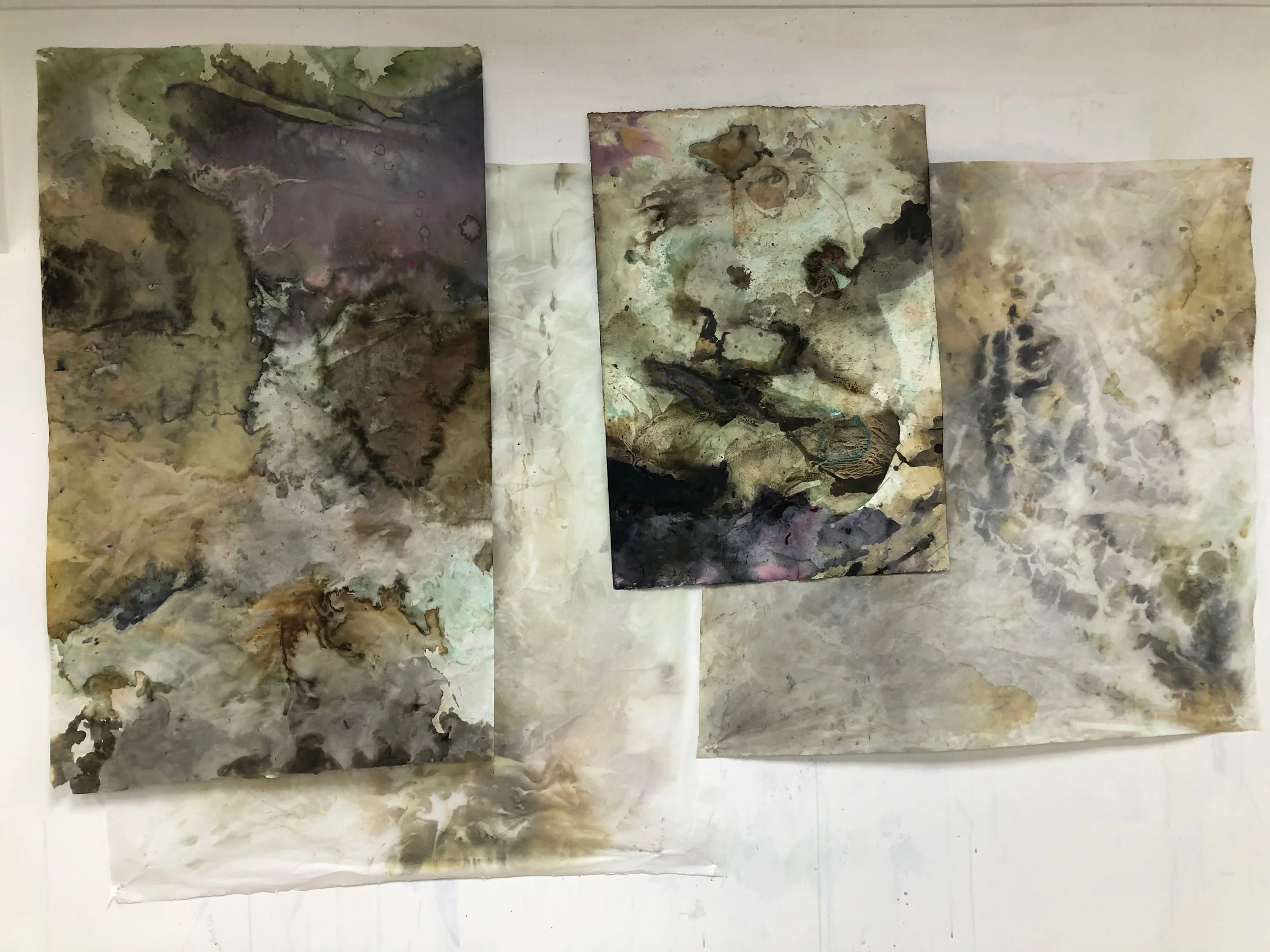 botanical inks and dyes.jpeg