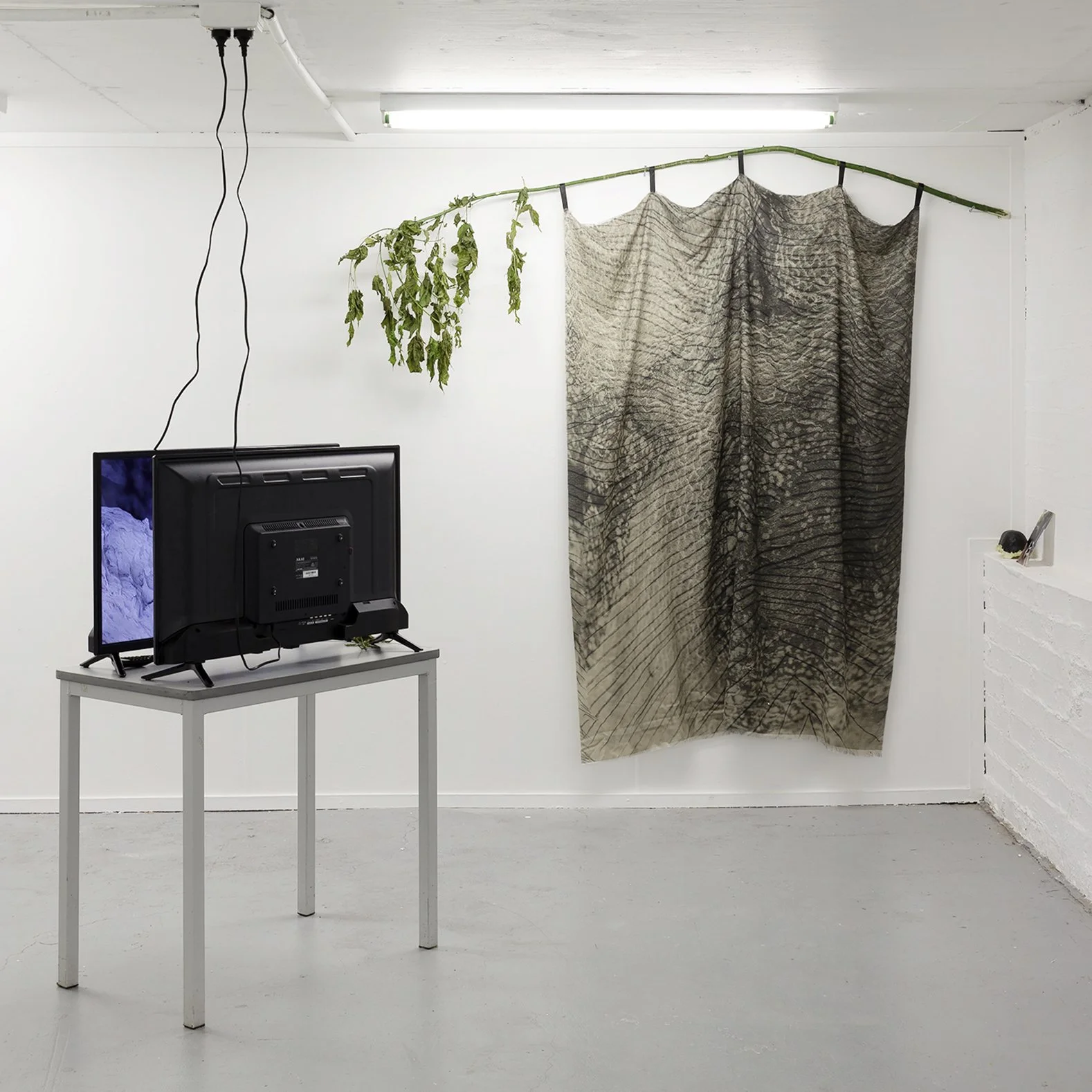 Forest Telephonists 2023