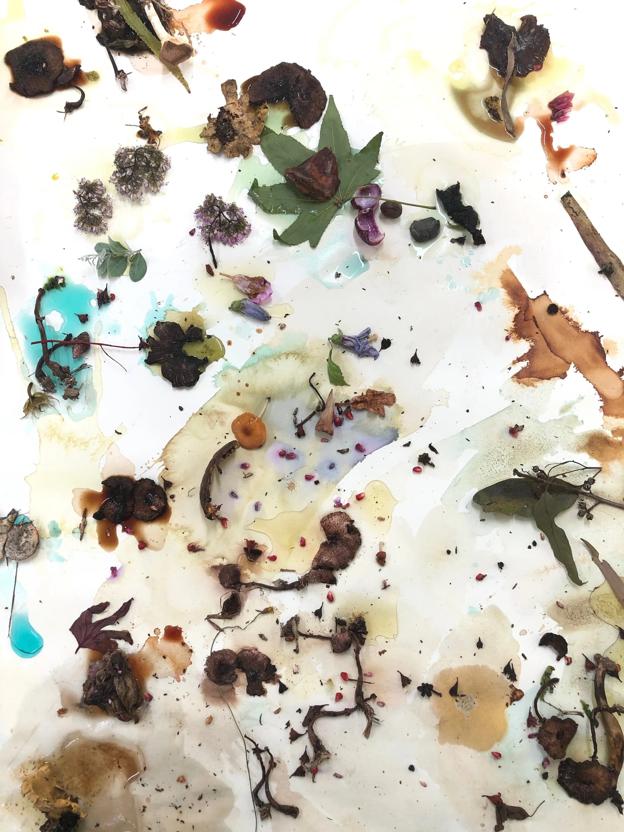 botanical inks and dyes.jpeg