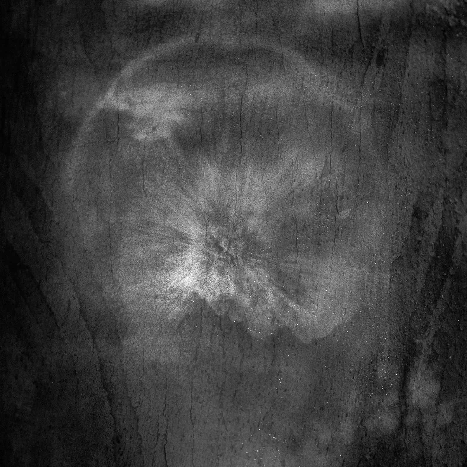 Strata Shift 2009–2010