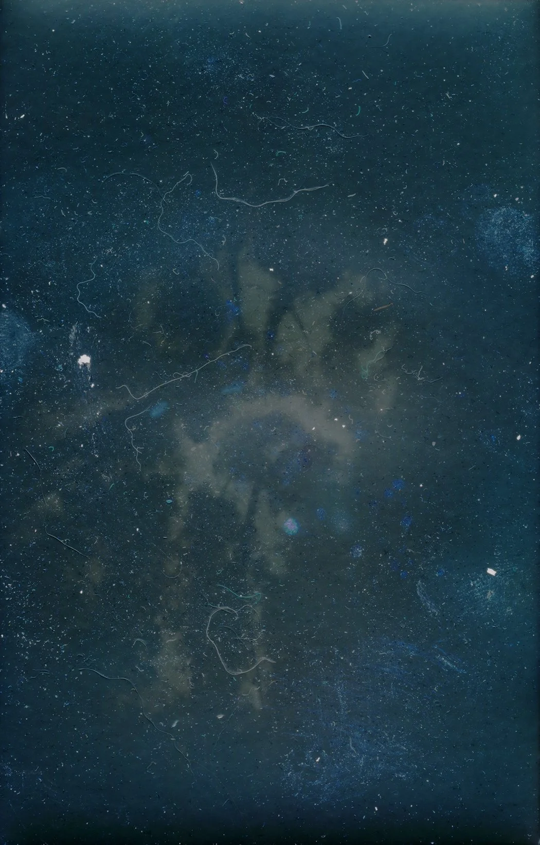 Tara Gilbee, Murmur (4) 2023, Solar graphic recording on silver gelatin paper printed on Cotton Rag 594w x 841h mm approx.