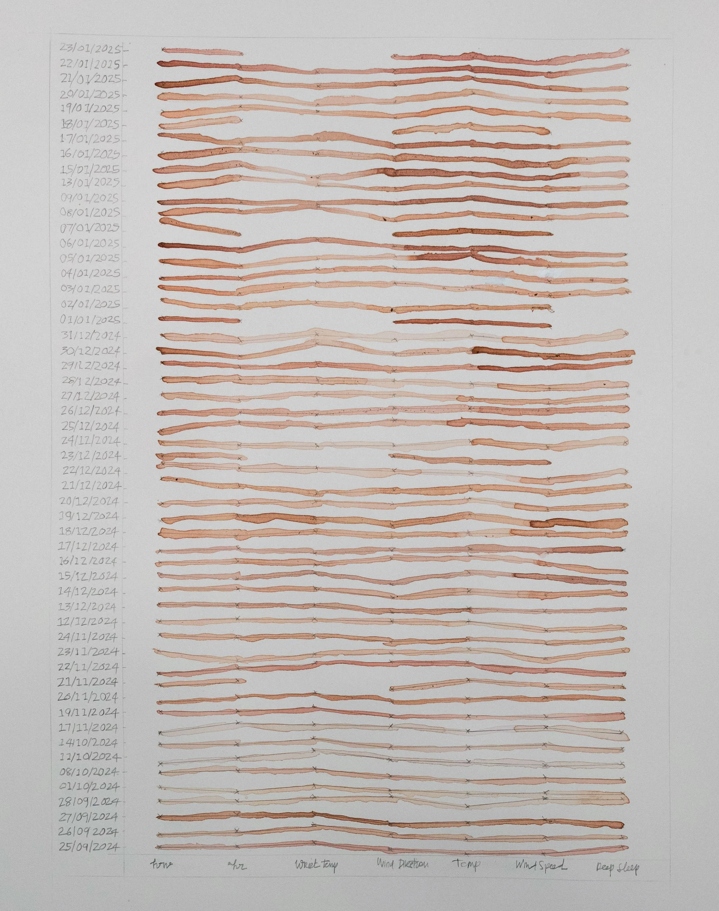 Strata, Lichen ink Calendar, mapping body and weather data like terrain, or strata, over 54 days, 2025