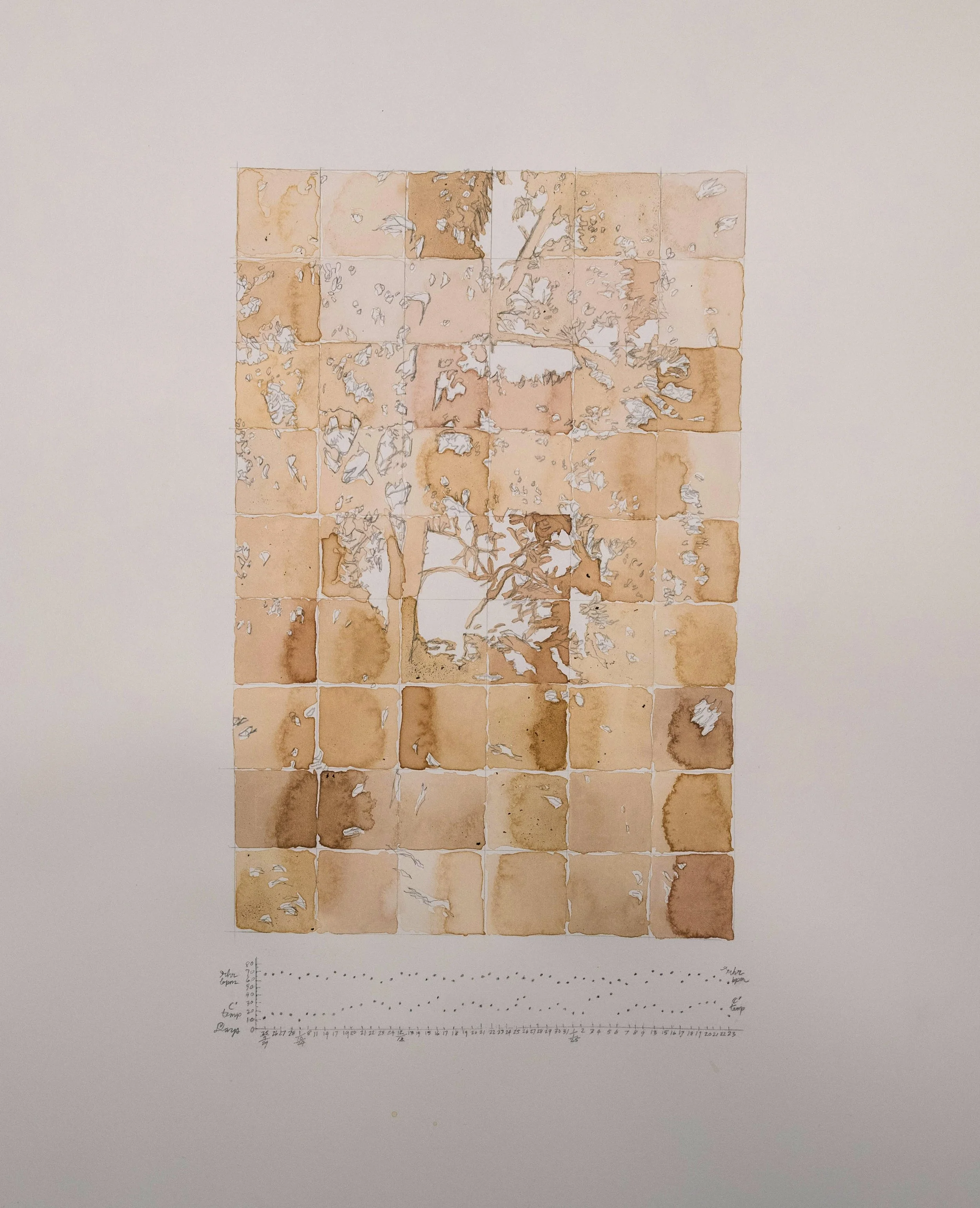 Waters’ Colour lichen dye grid recording hydrological, body and atmospheric behaviour, within the silhouette of peppermint gums that it was dislodged from in 2024 -2025 assembled 2025