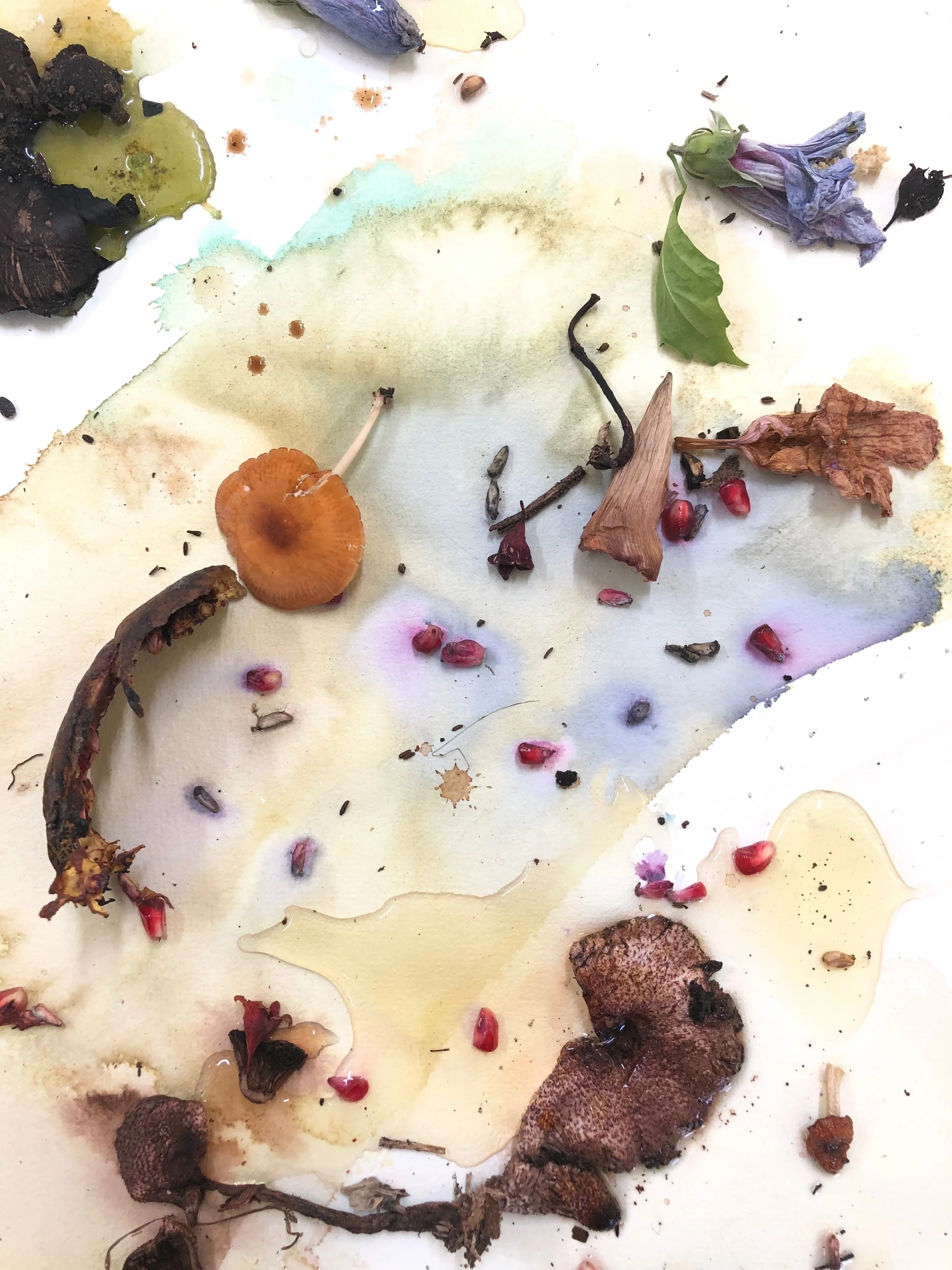 botanical inks and dyes.jpeg