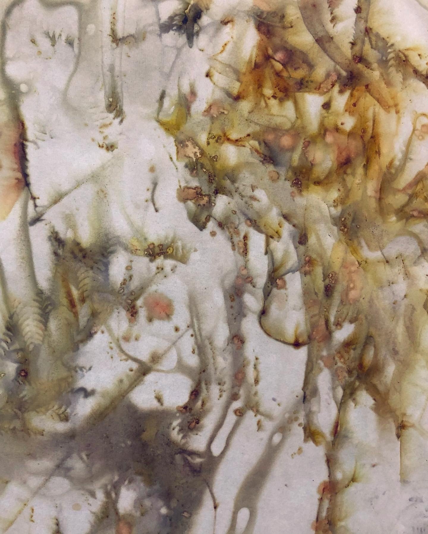 E538D9F0-05A0-450D-8DC4-98396AB5E673 (1).jpeg