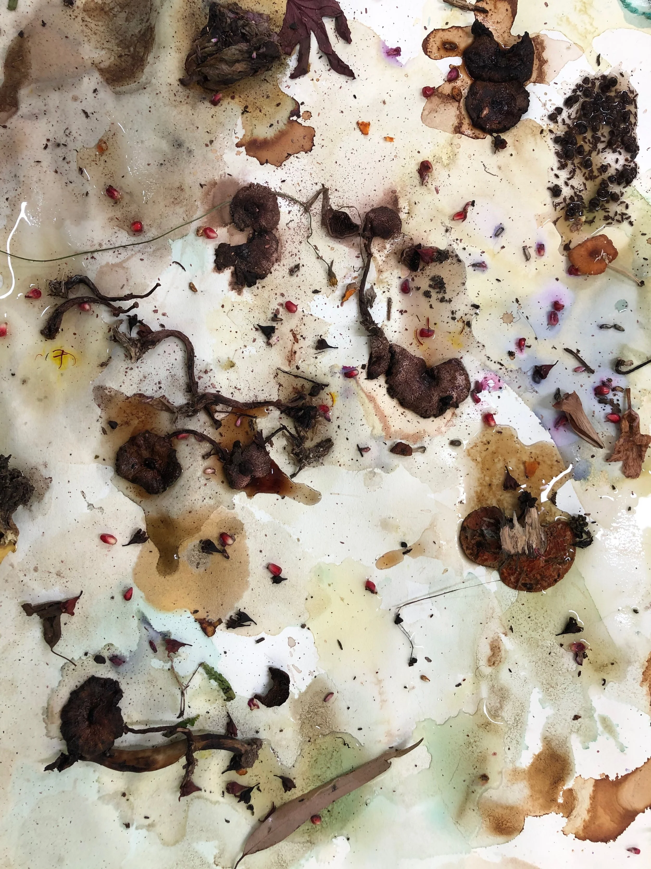 botanical inks and dyes.jpeg