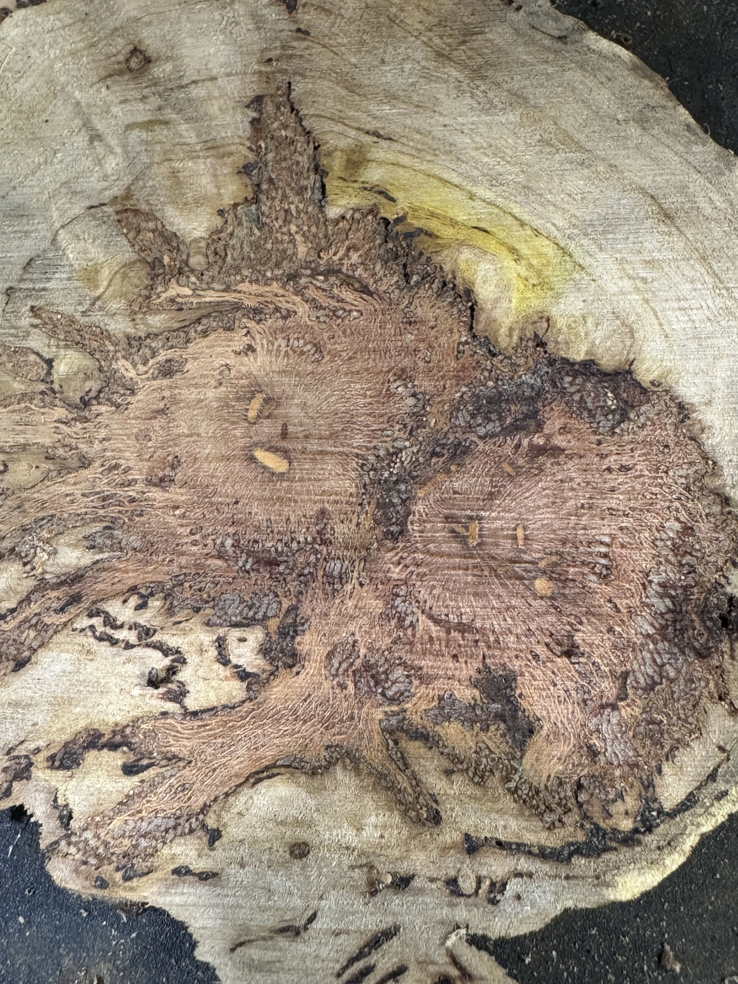 All a long longing 2018–2024