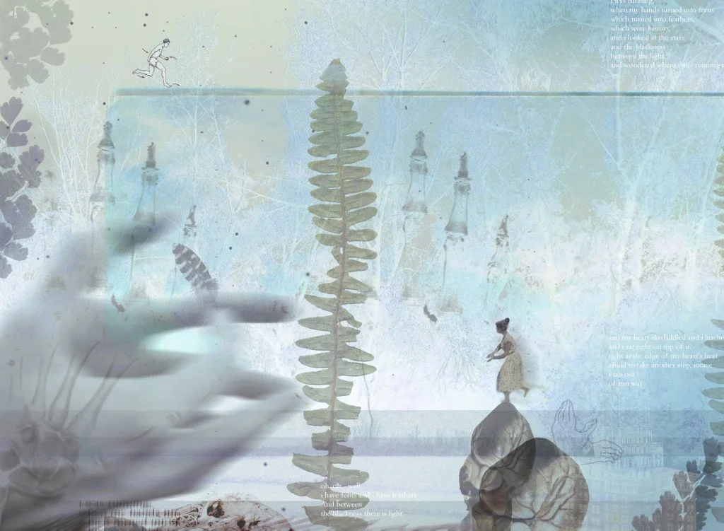 fernsandfeathers.jpg