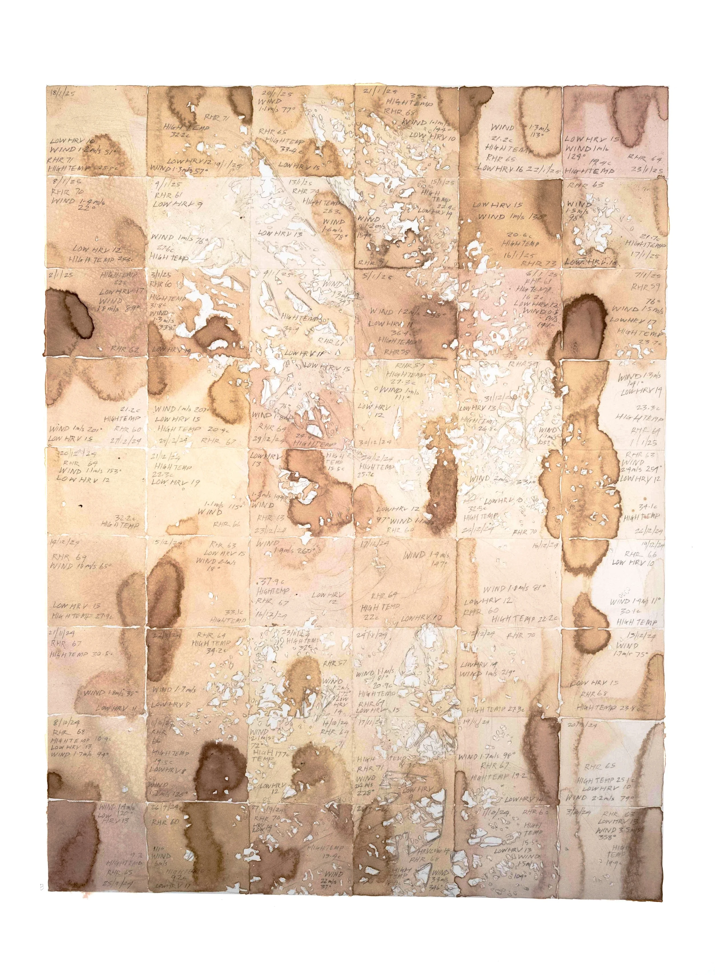 Everyday Holobionts: Co Terrain
2025

A fifty four day record of body and place. Each square holds wind, temperature, heart rate variability, and resting pulse, written into lichen ink made from ethically gathered windfall species.

Here the grid bec