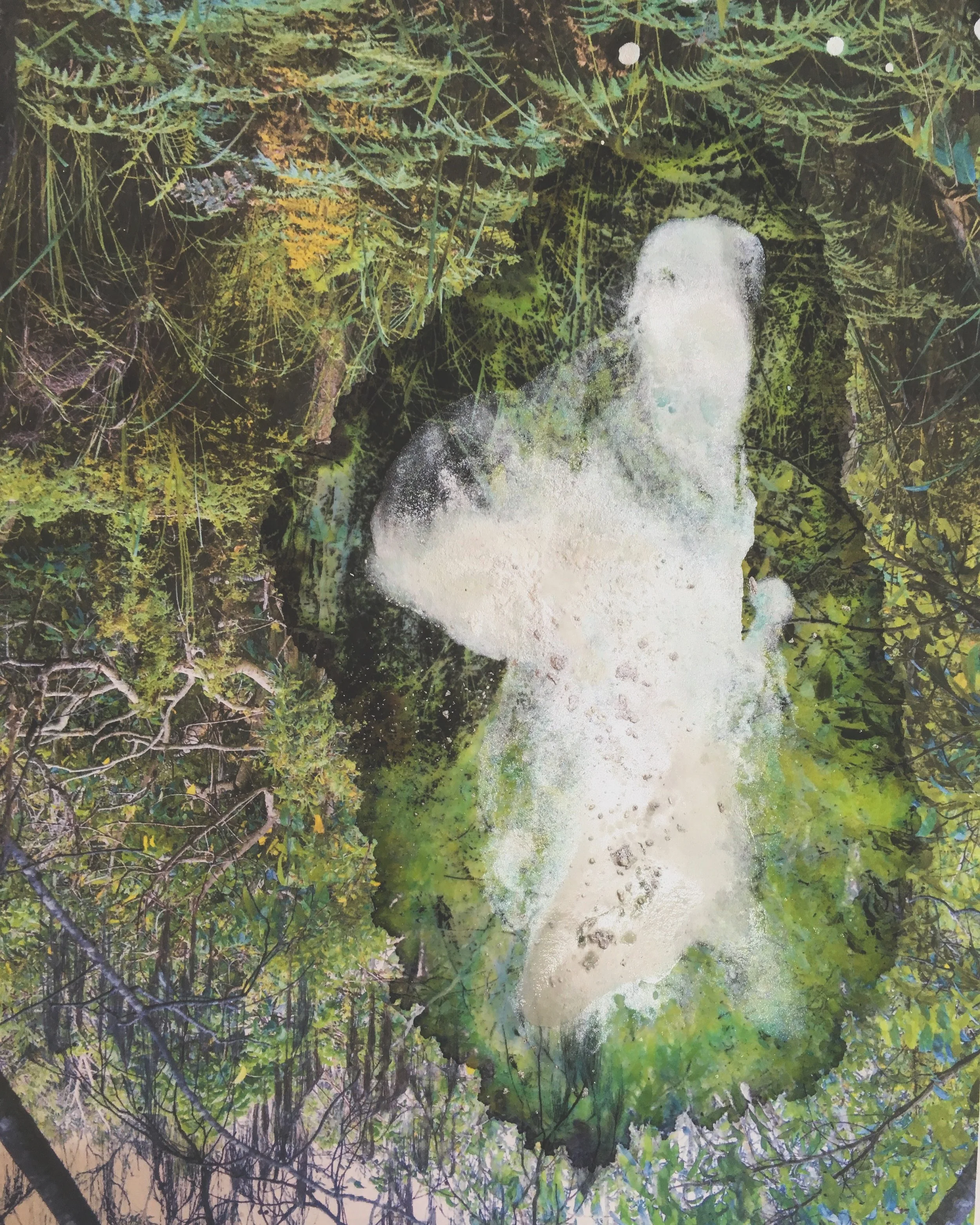 Strata Shift 2009–2010