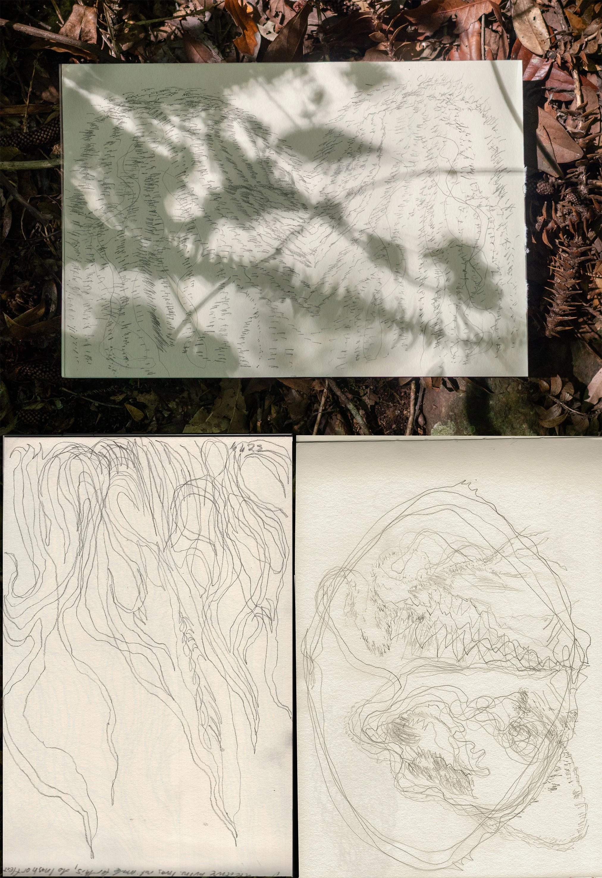 divergencetandemmutualism copy.jpg