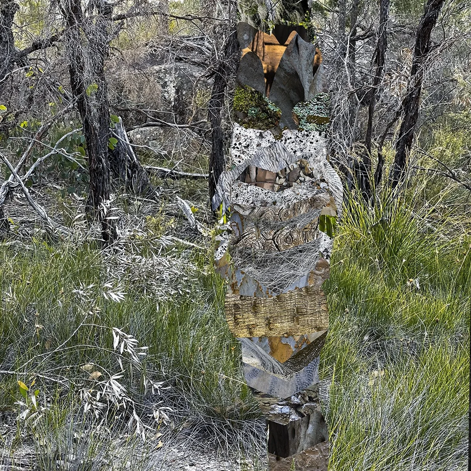 A Confluence of Signs 2019–ongoing