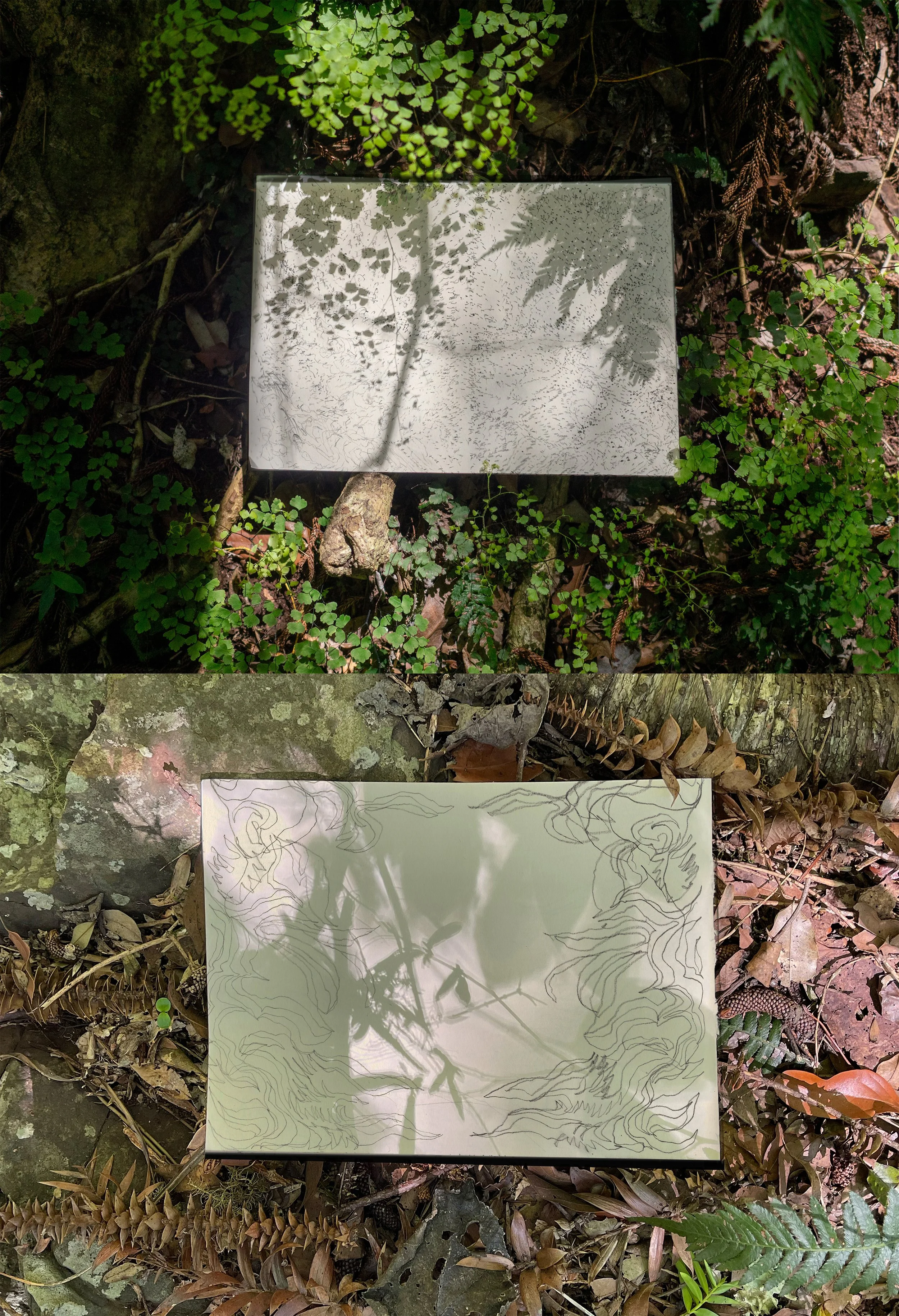 weavedispersalgathering copy.jpg