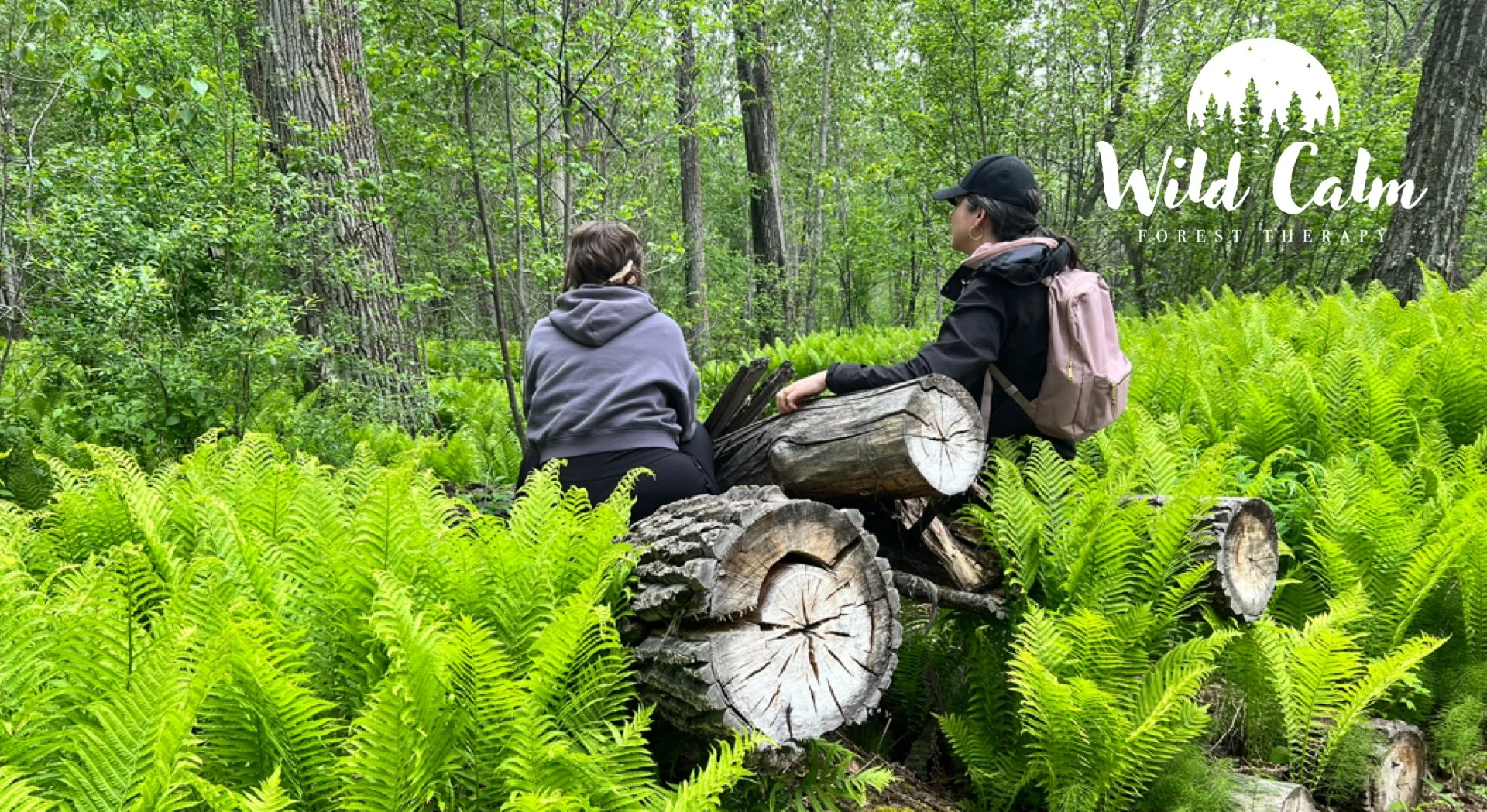 Cancelled Due to Flooding: Fern Glades Guided Forest Therapy Experience