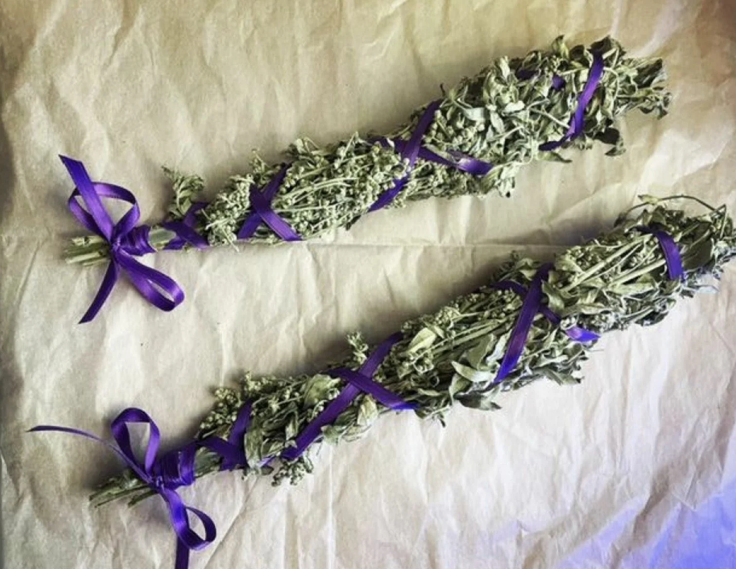 Guided Forest Therapy + Cree Medicine Bundle Creation Experience at the Botanic Garden