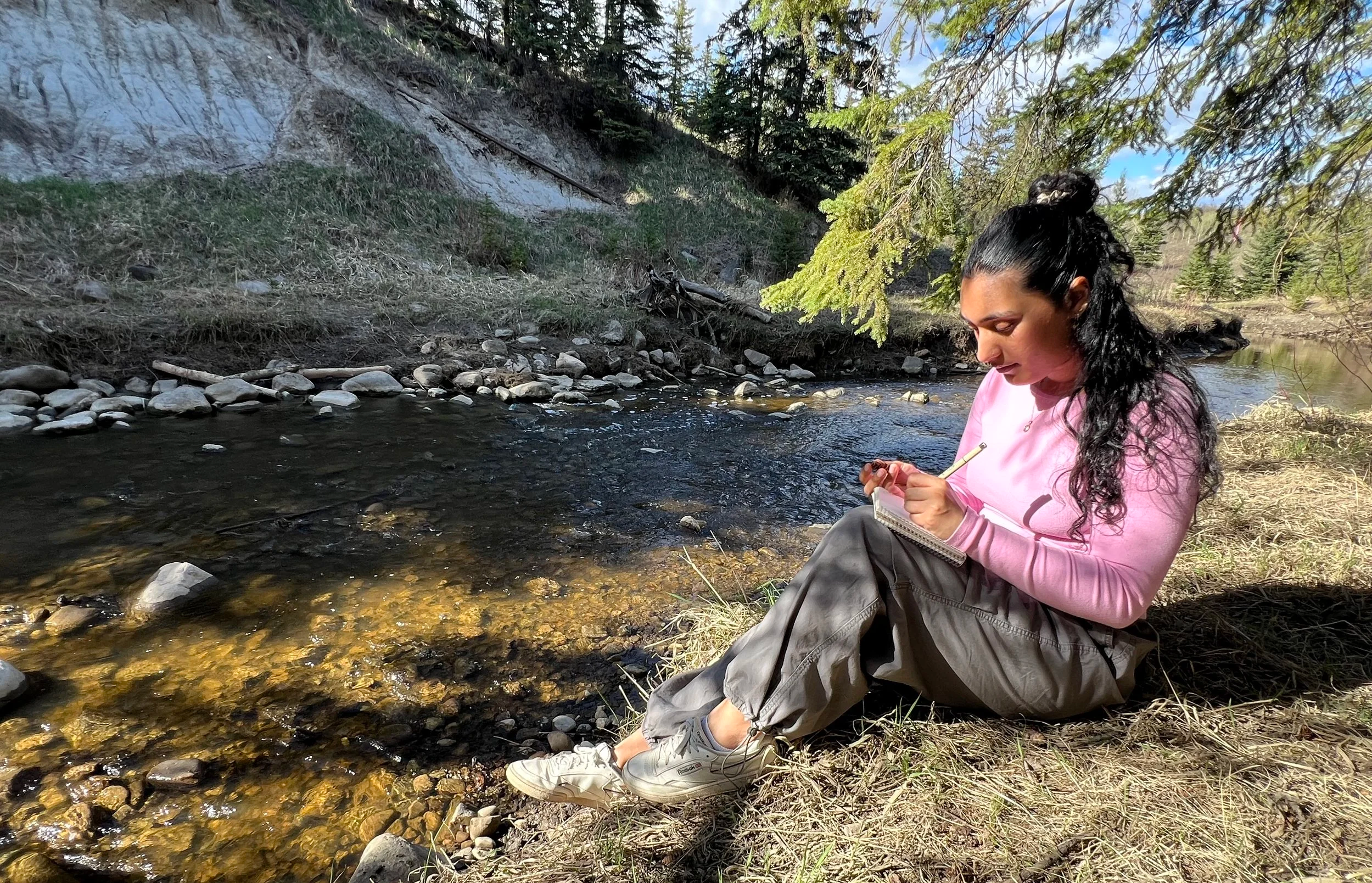 Guided Forest Therapy + Nature Sketching Experience