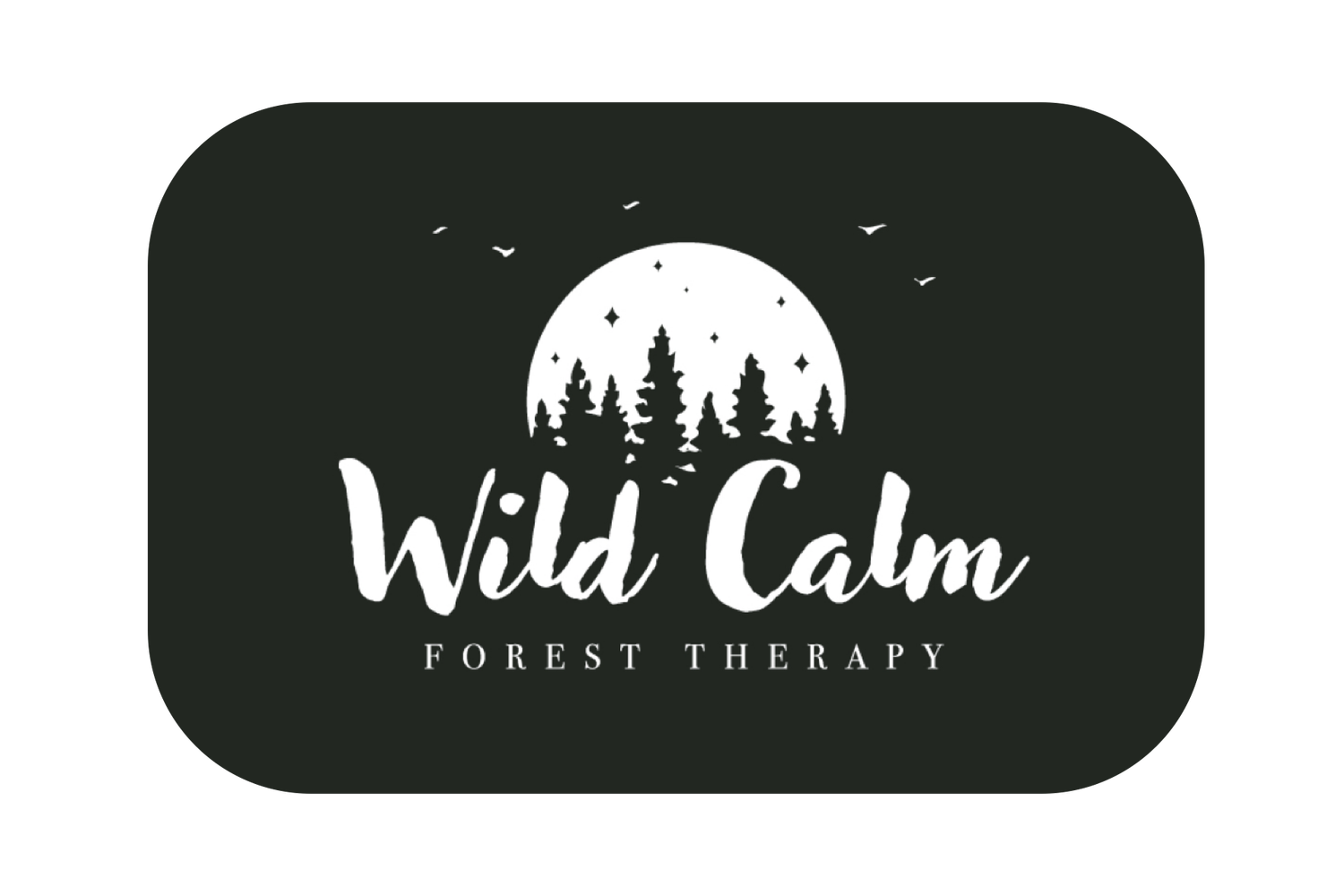 Wild Calm Forest Therapy