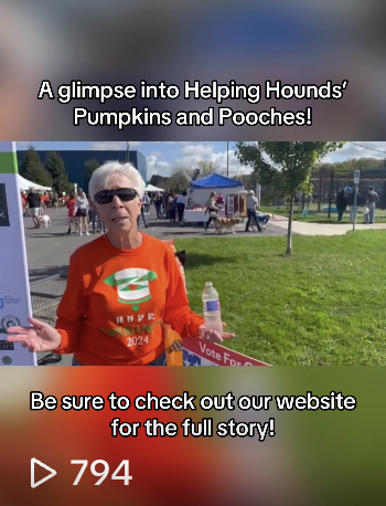 NCC News Online | TikTok