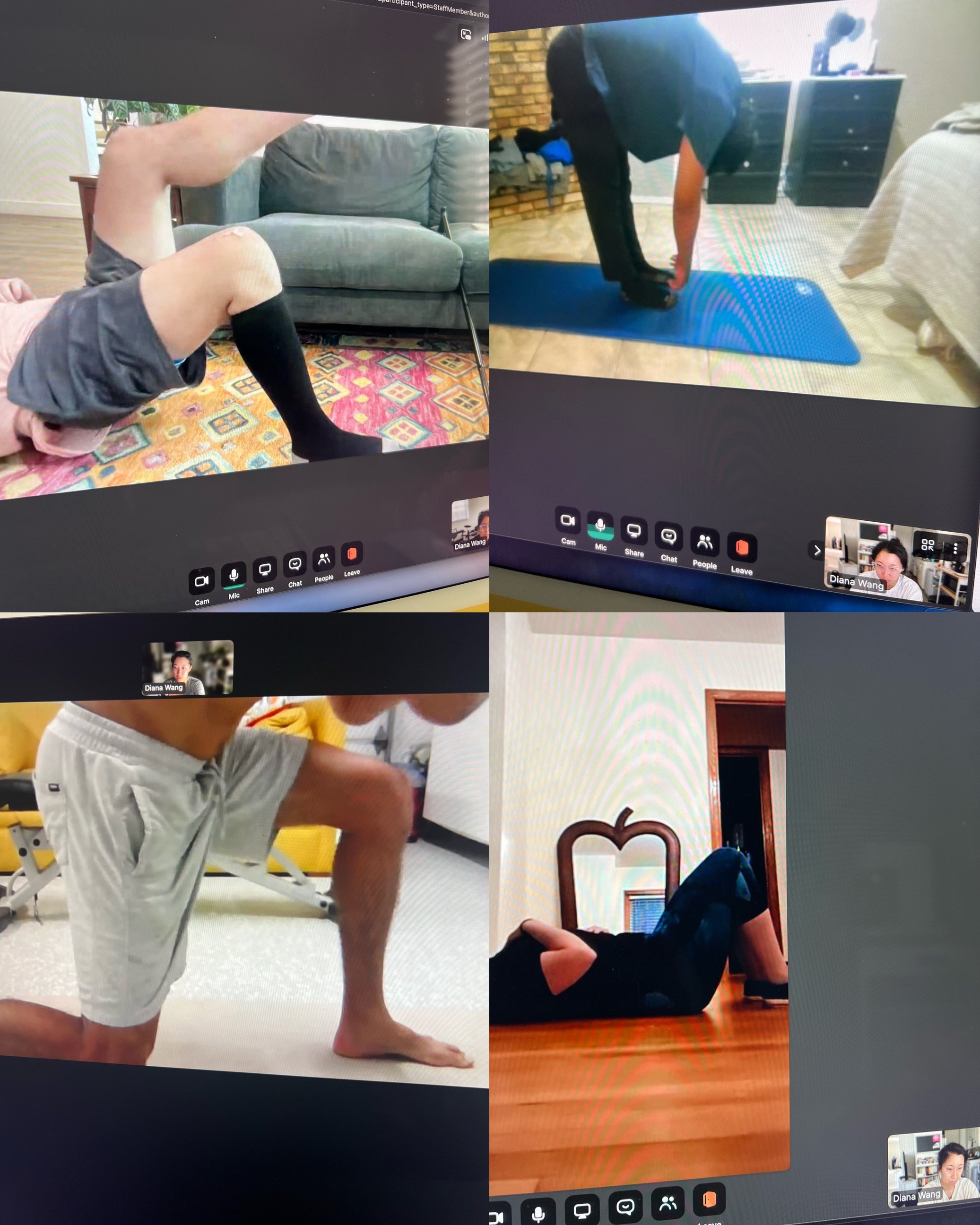 jiu jitsu physical therapy los angeles