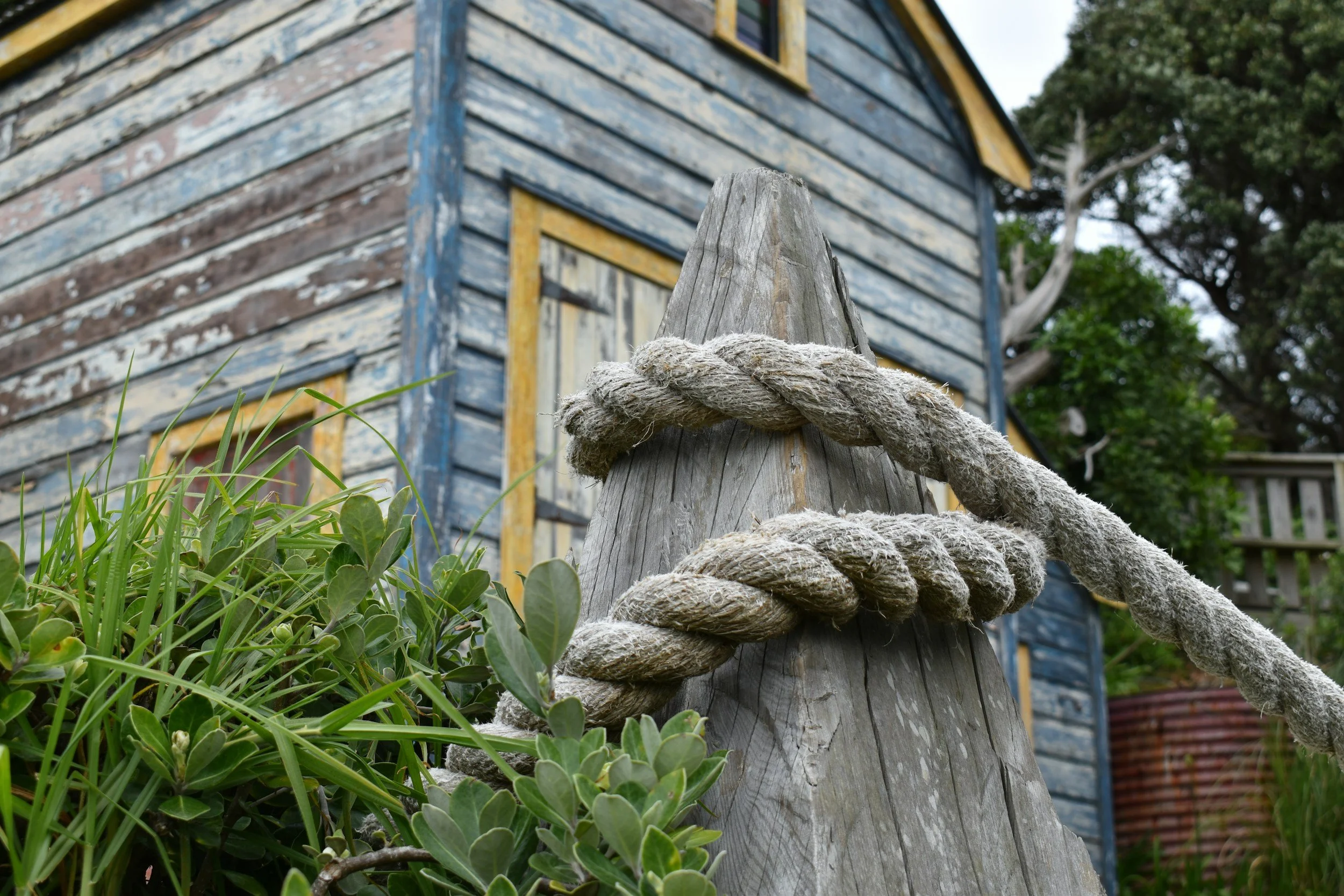 Close-up of a weathered wooden post with a thick, frayed rope tied around it, in front of an old, blue wooden building with chipping paint and yellow window frames, surrounded by green plants and trees.