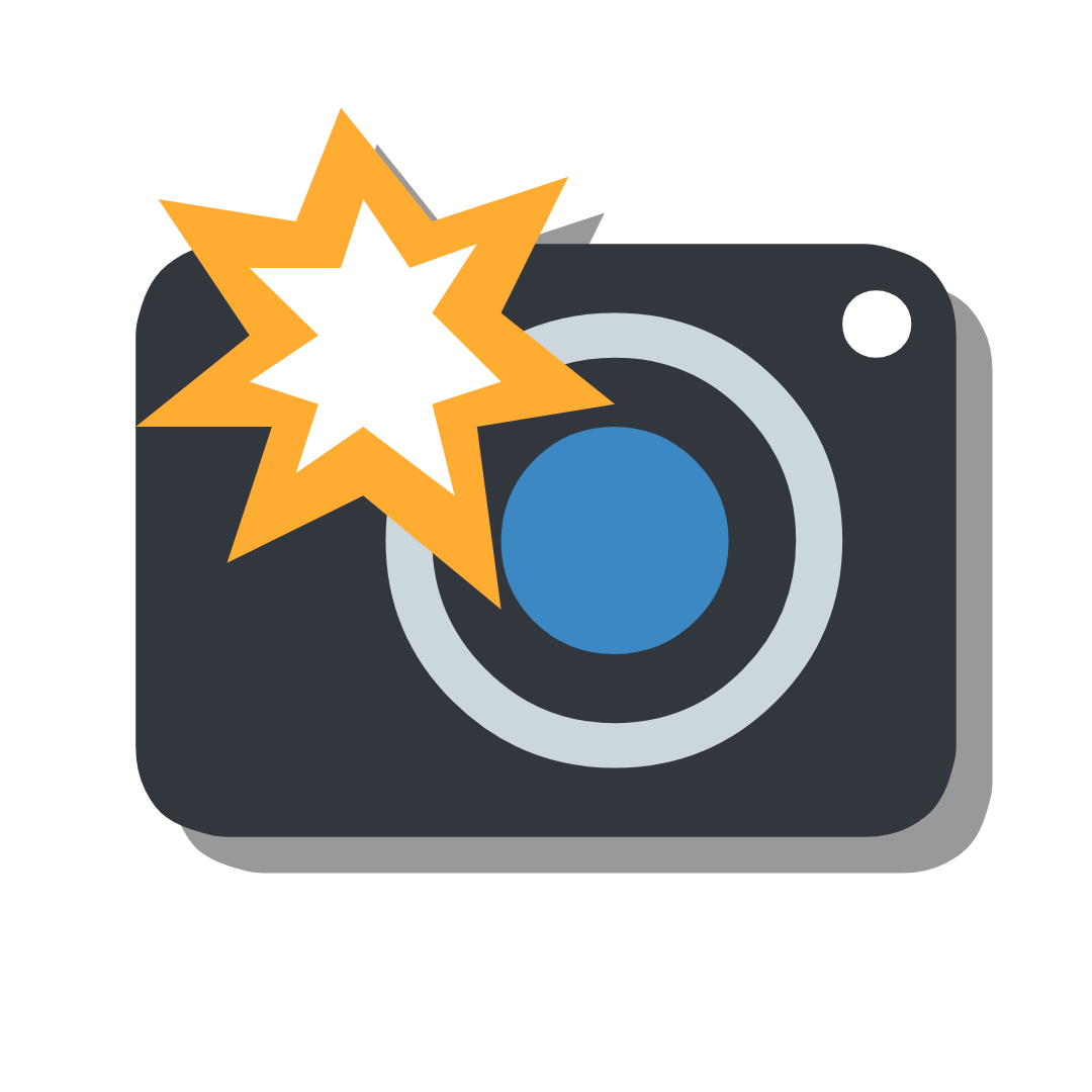 Graphic of a camera with a starburst sticker overlapping the top left corner. Ram Selvarajah for OPSEU First VP/Treasurer and Executive Board Member Region 5