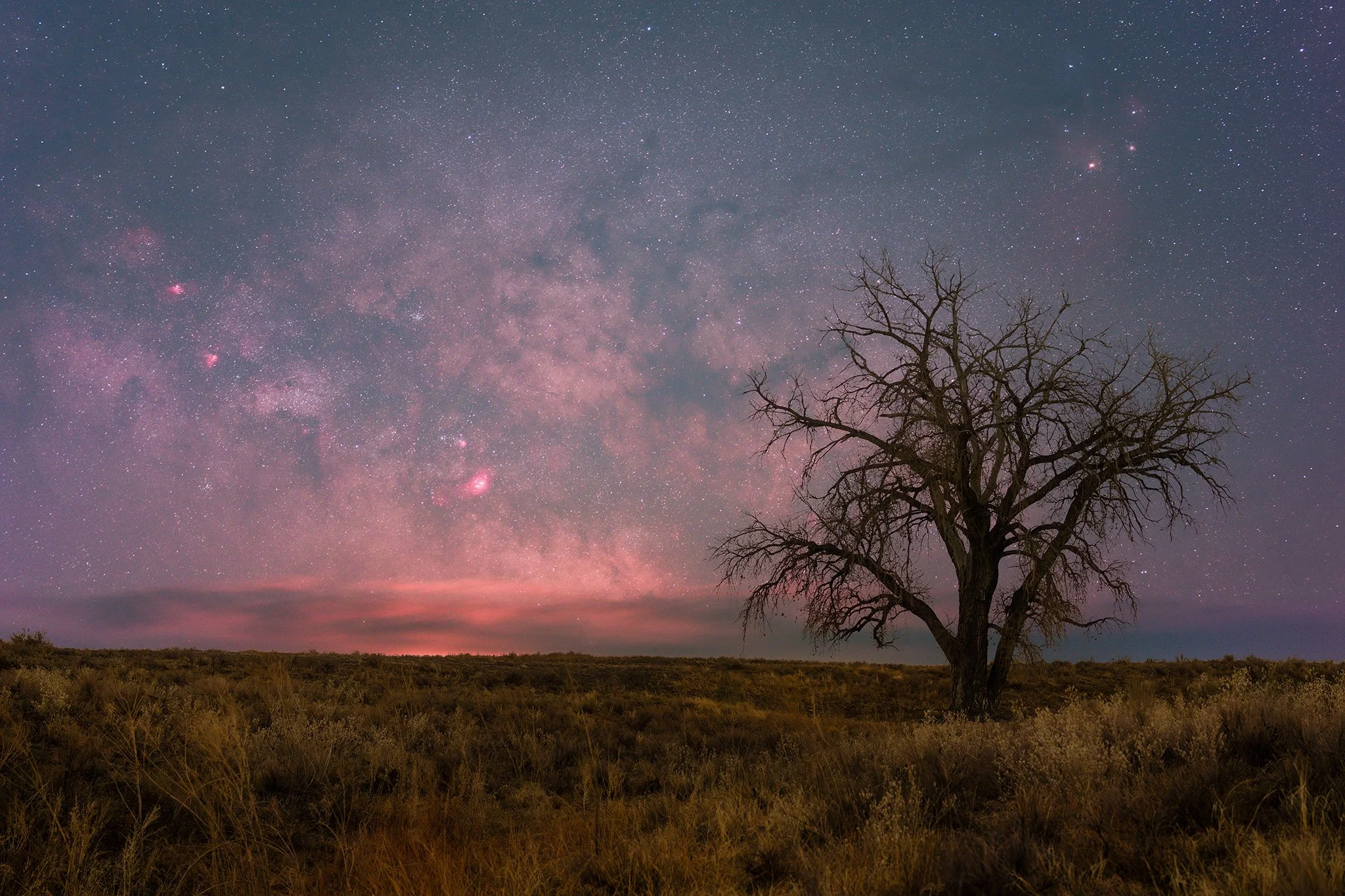 Untitled-1 copy-flattened-web.jpg