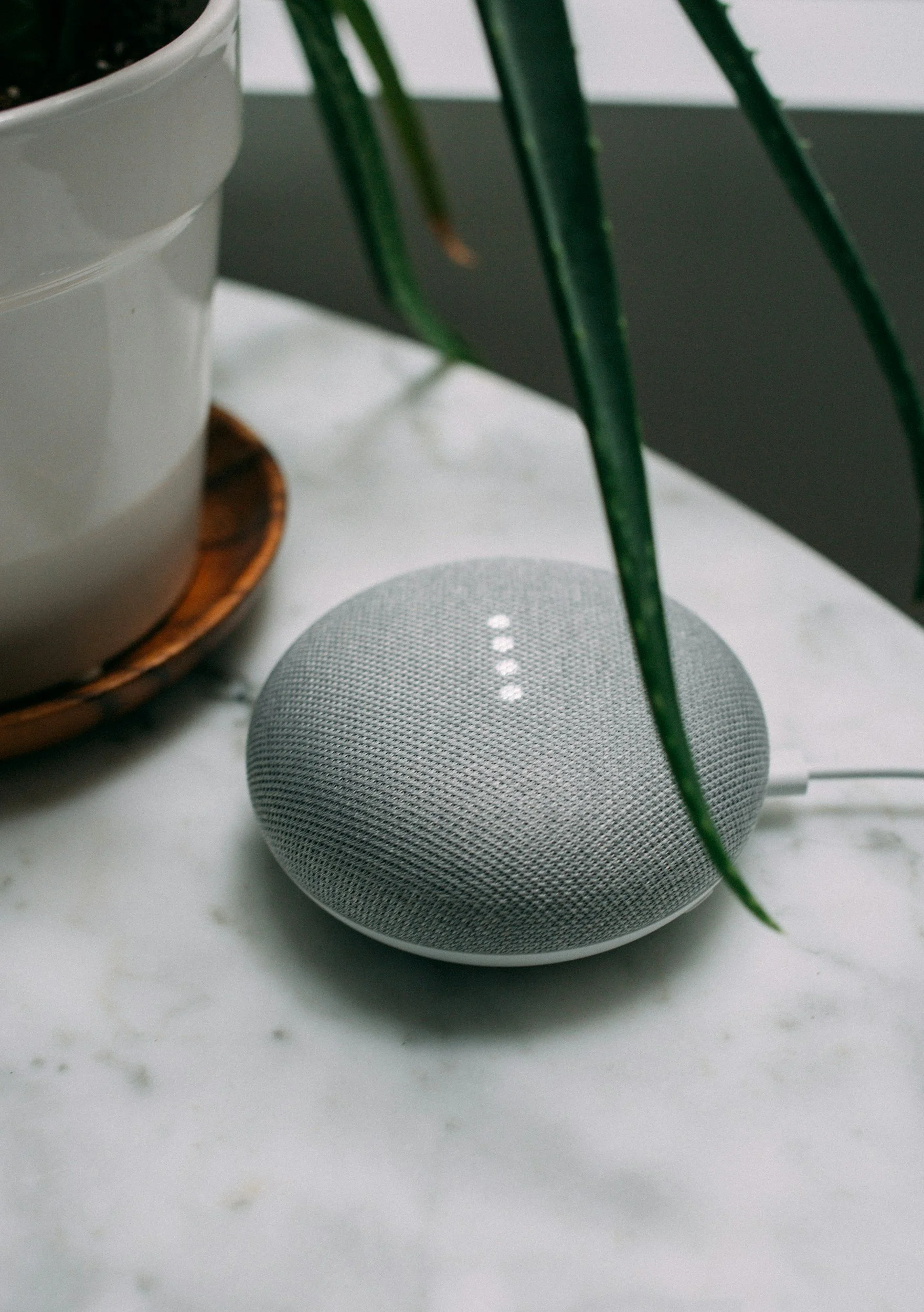 A smart speaker on a white marble surface, with green plant leaves partially covering it and a white pot on a wooden tray in the background.
