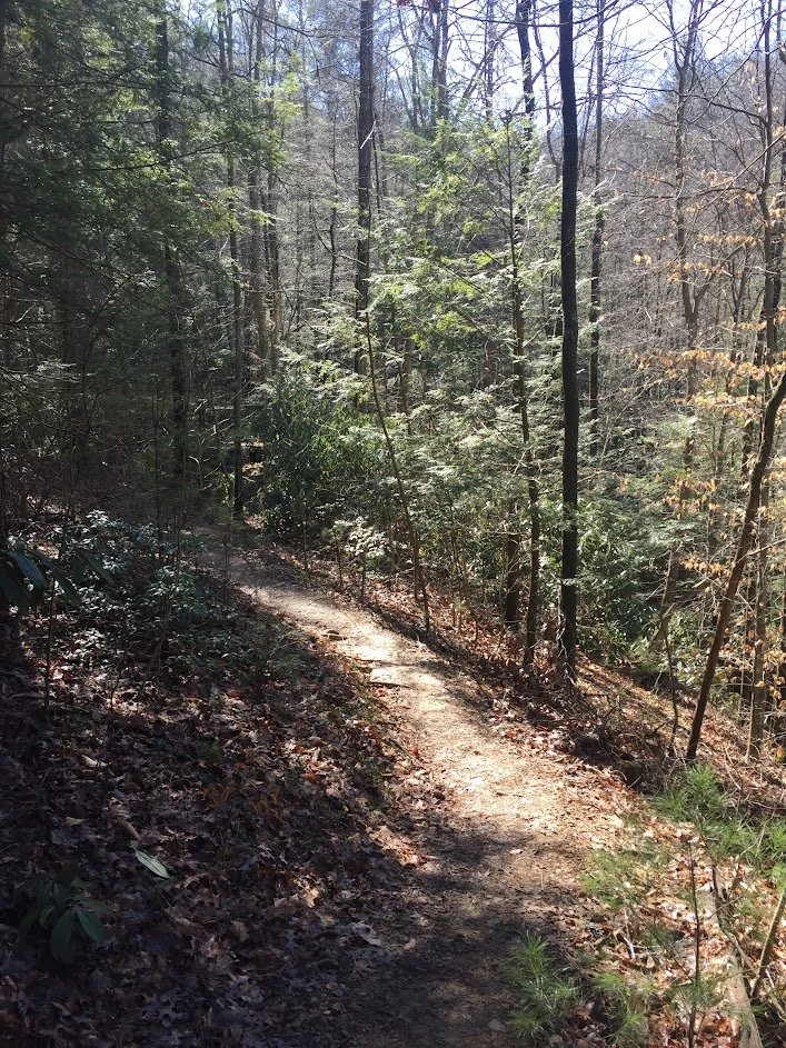 Grow along your path and learn new skills