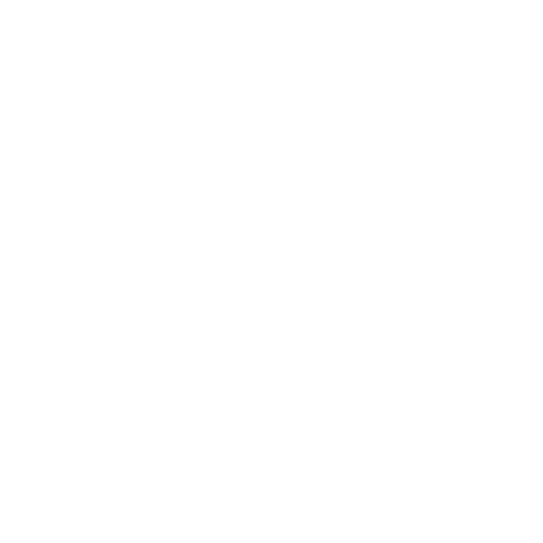 Icon of a house with a magnifying glass in front of it, symbolizing home inspection or search.