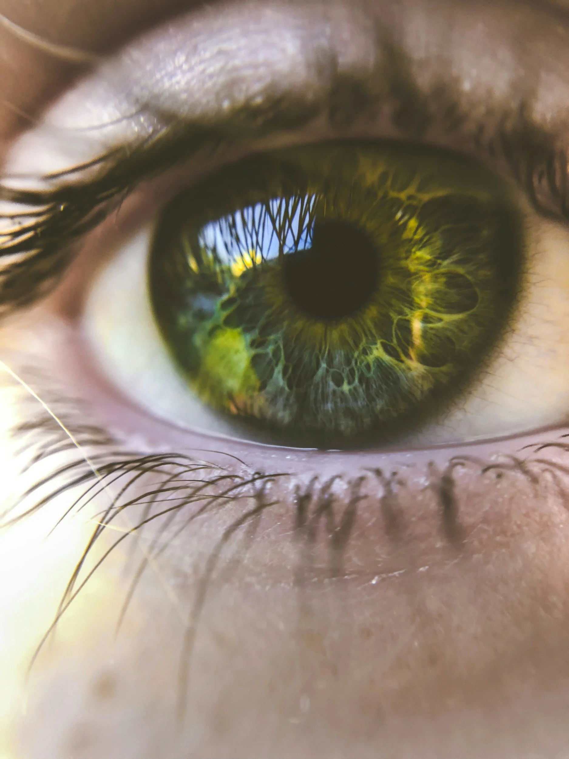 The Truth About Green Eyes: St. Patrick’s Day Eye Facts