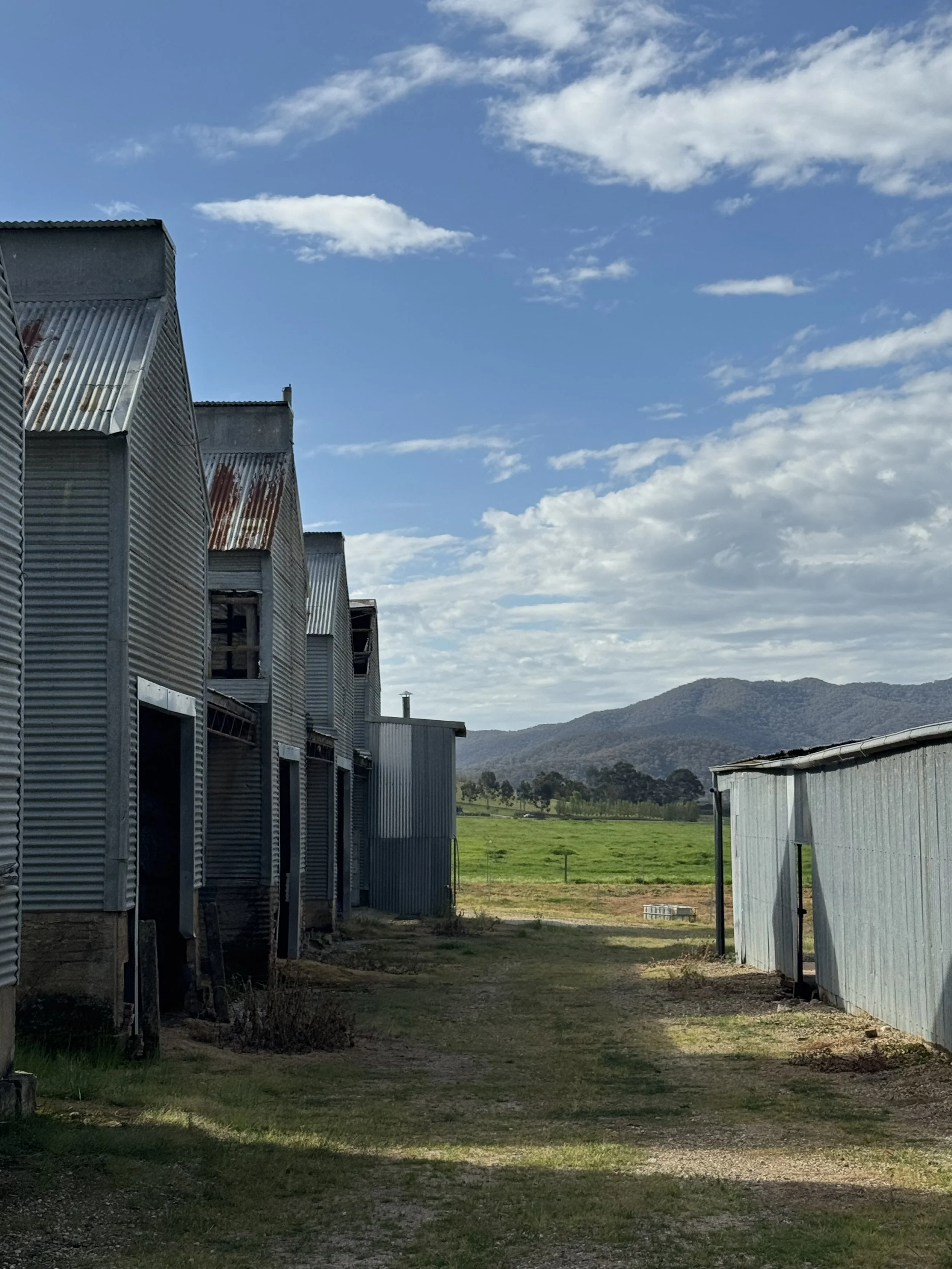 A rural scene with tobacco kiln buildings, a grassy paddock, trees, and hills in the background under a blue sky with scattered clouds.