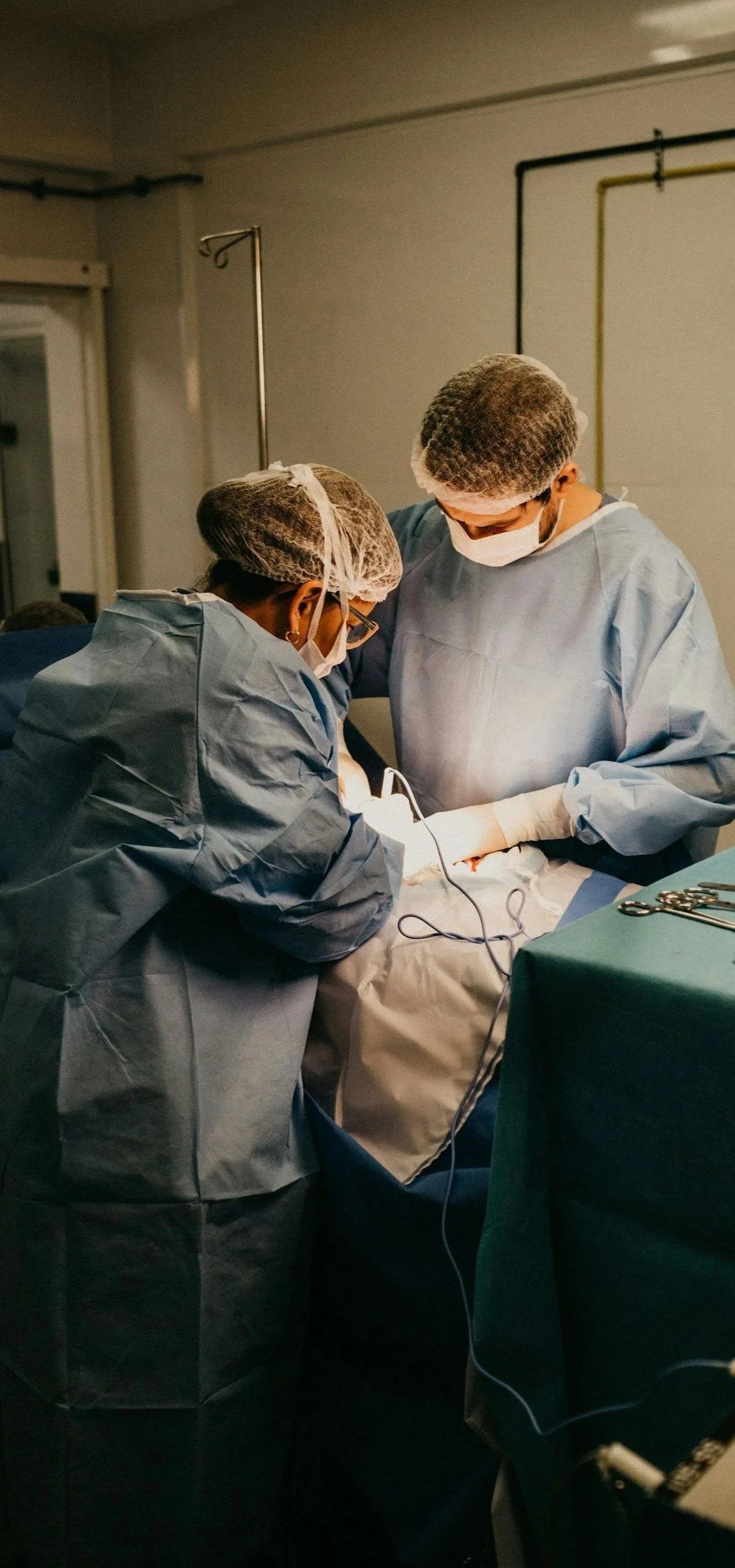 Two veterinary surgeons working together during a surgical procedure.