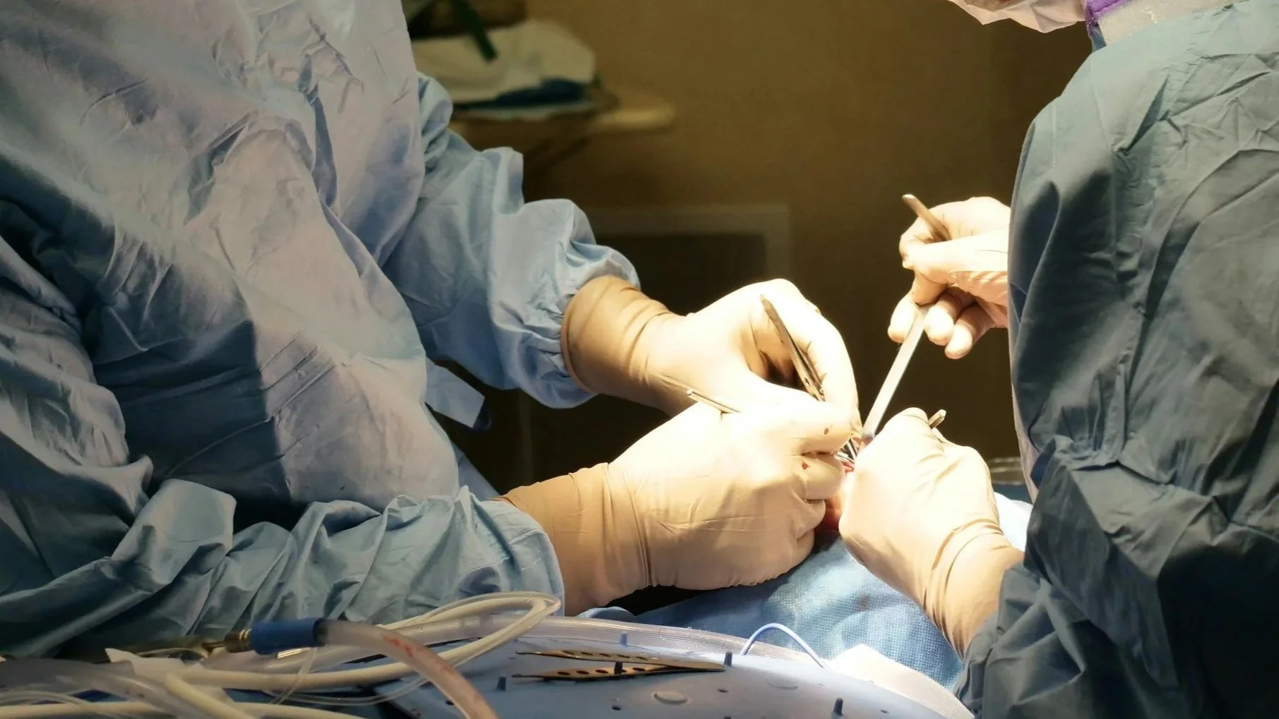 Veterinary surgical team working together during a procedure.
