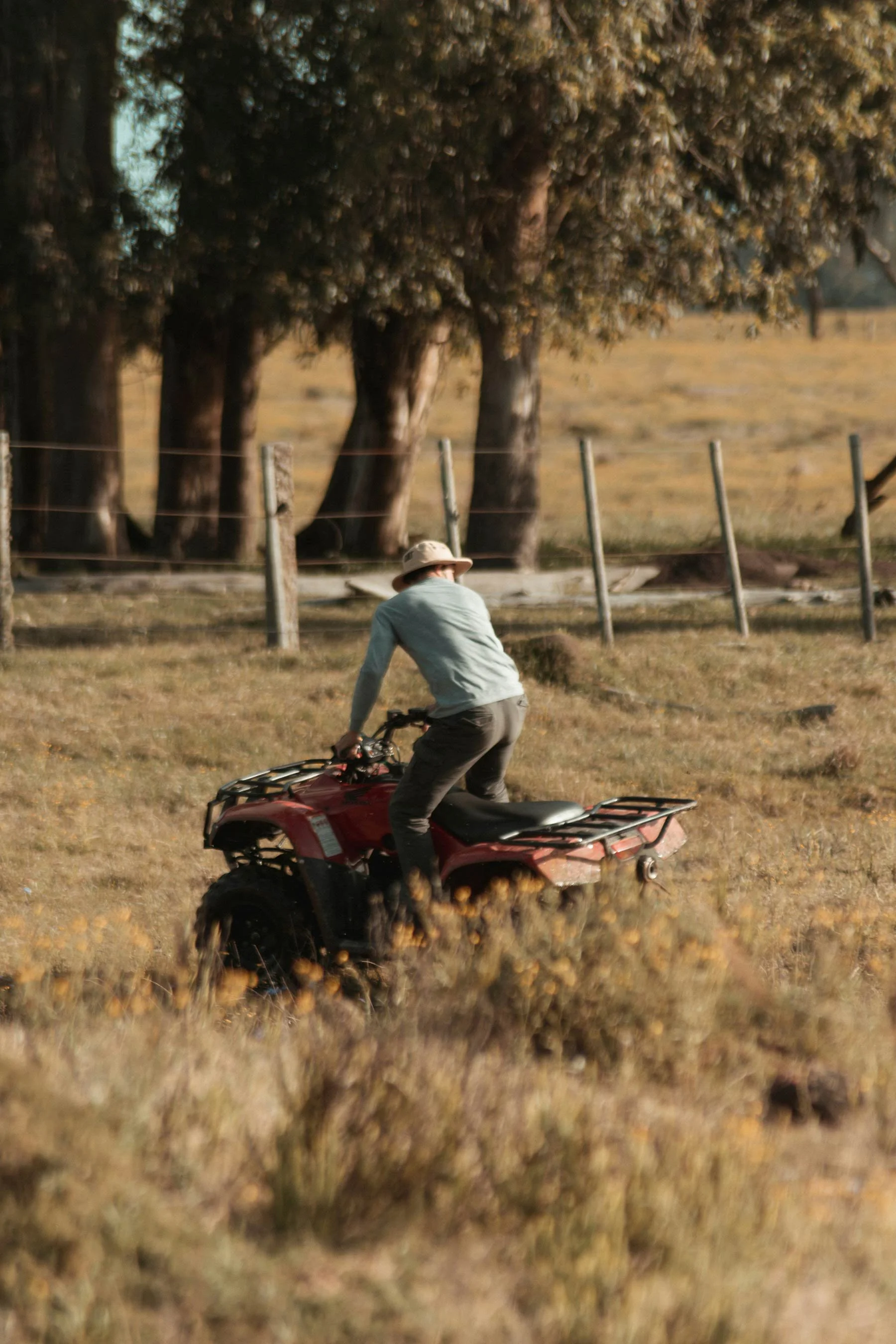 Paddock Mate- Person riding a red ATV through a grassy field near a fence and large trees on farms