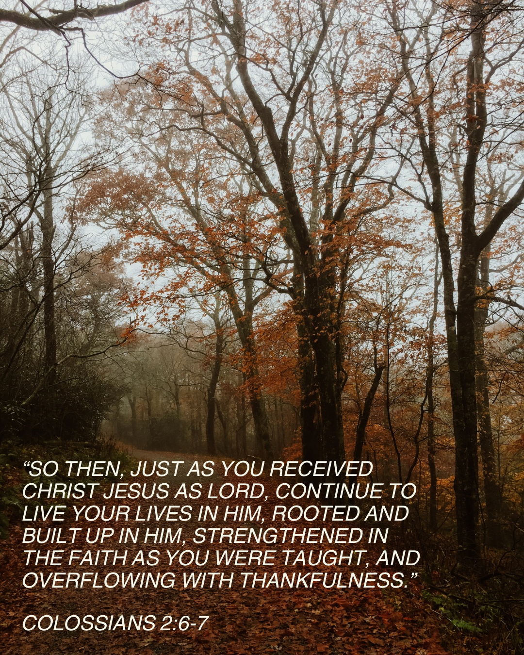 what can you do to show Jesus your gratitude today? - 1.png