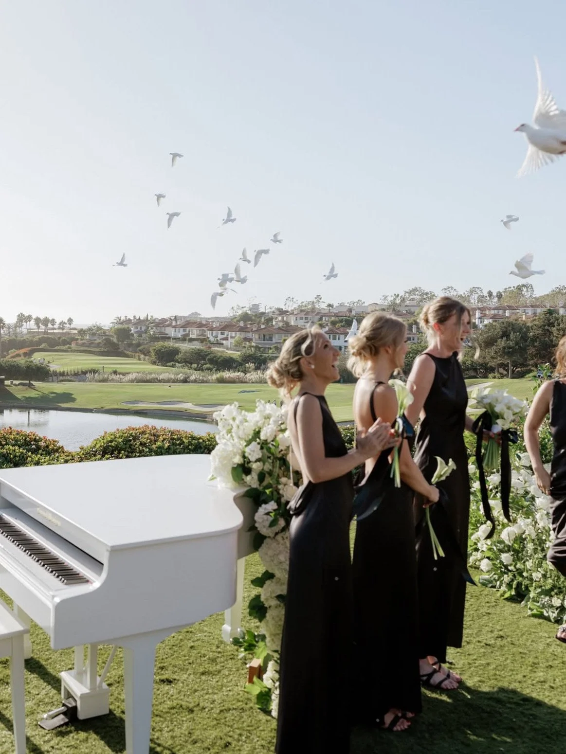 Grand Illusion Piano Shells