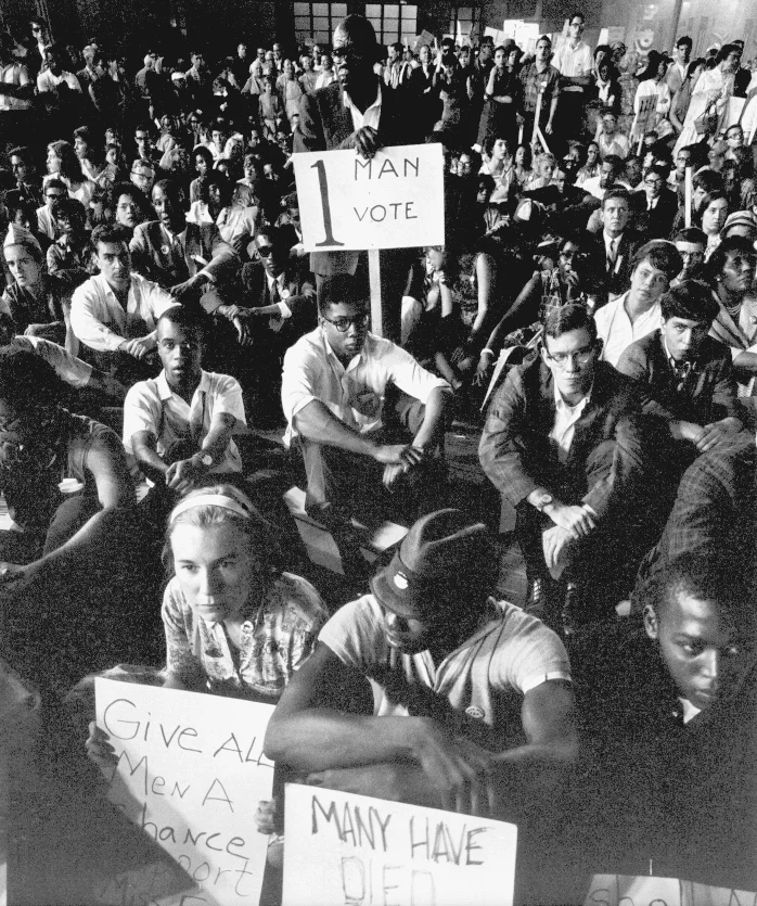 freedomsummer.jpg