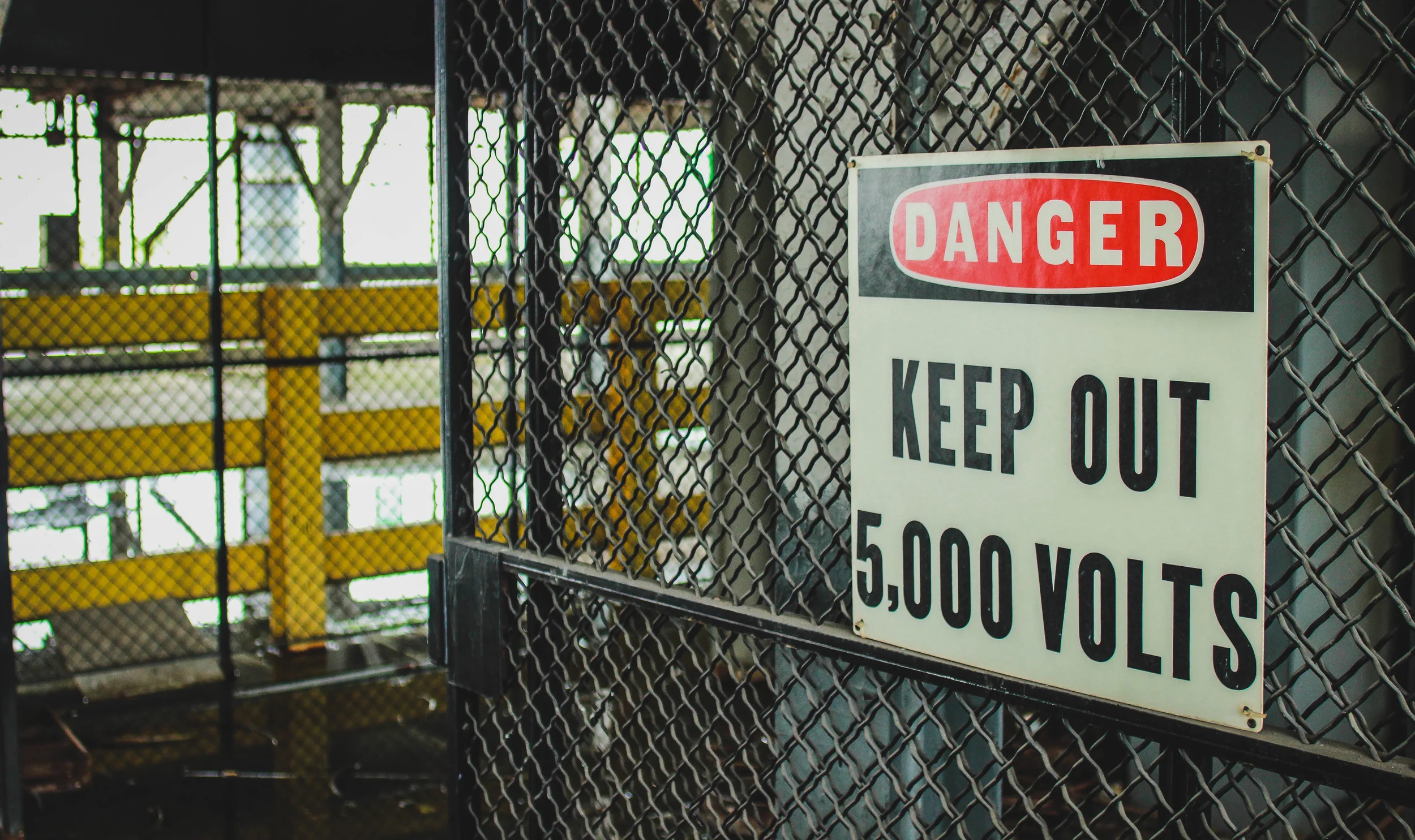 Playing by the Rules: The Myth of Surviving Racism