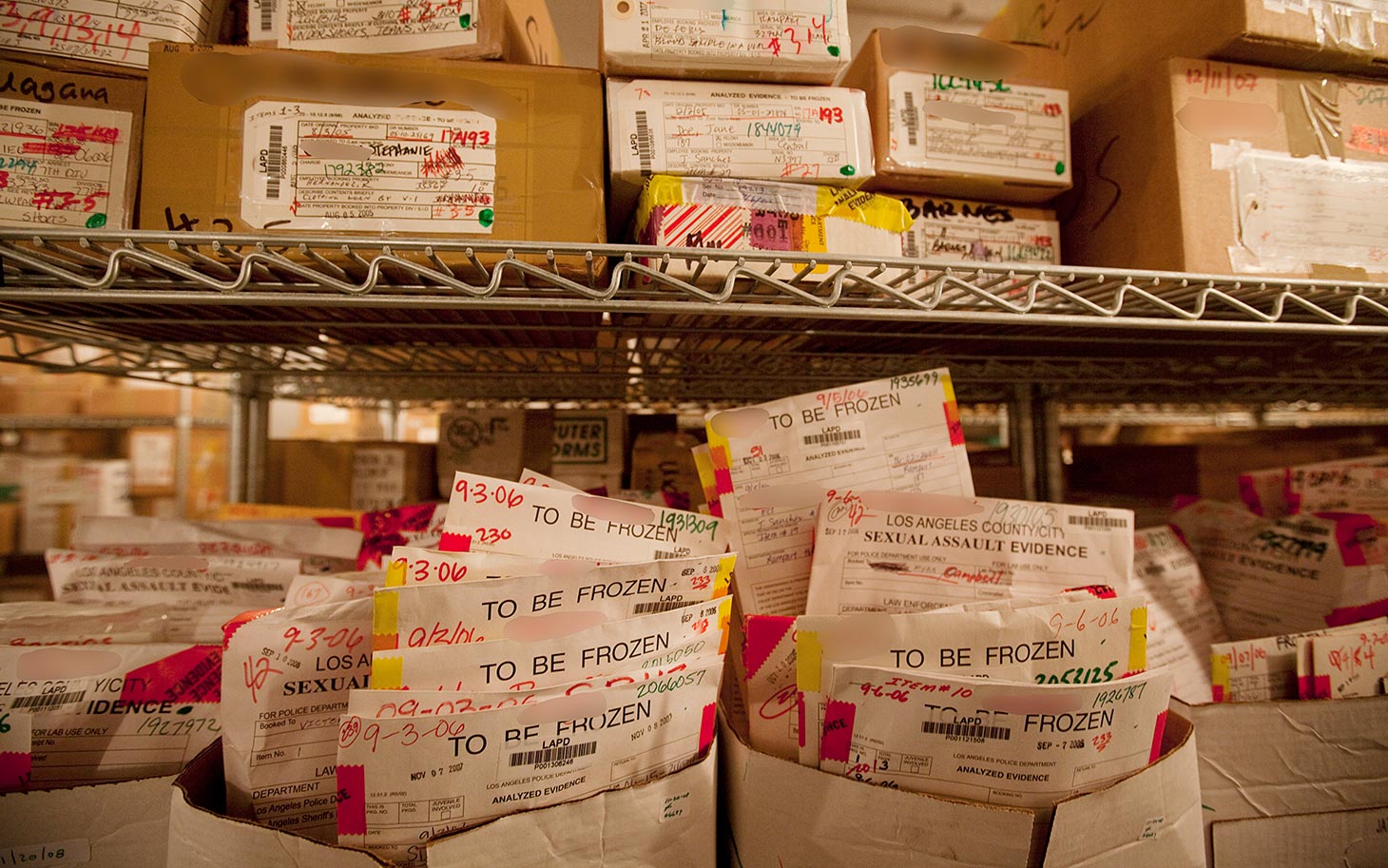  Never Forgetting Victims Again: Detroit Rape Kits