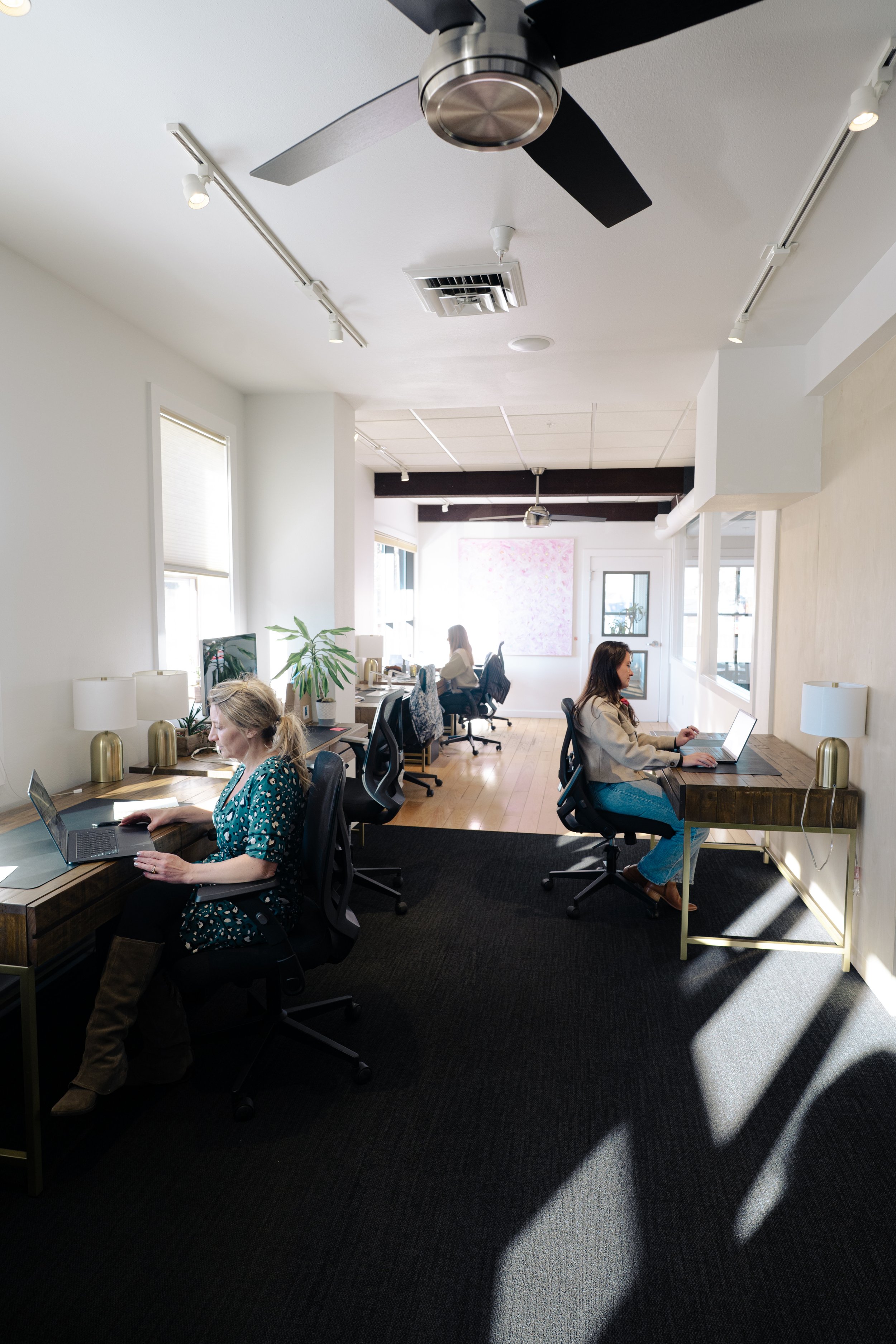 Office space with three women working at desks with laptops. The room has large windows letting in natural light, white walls, and a dark carpet. There are decorative lamps and a plant on one desk.
