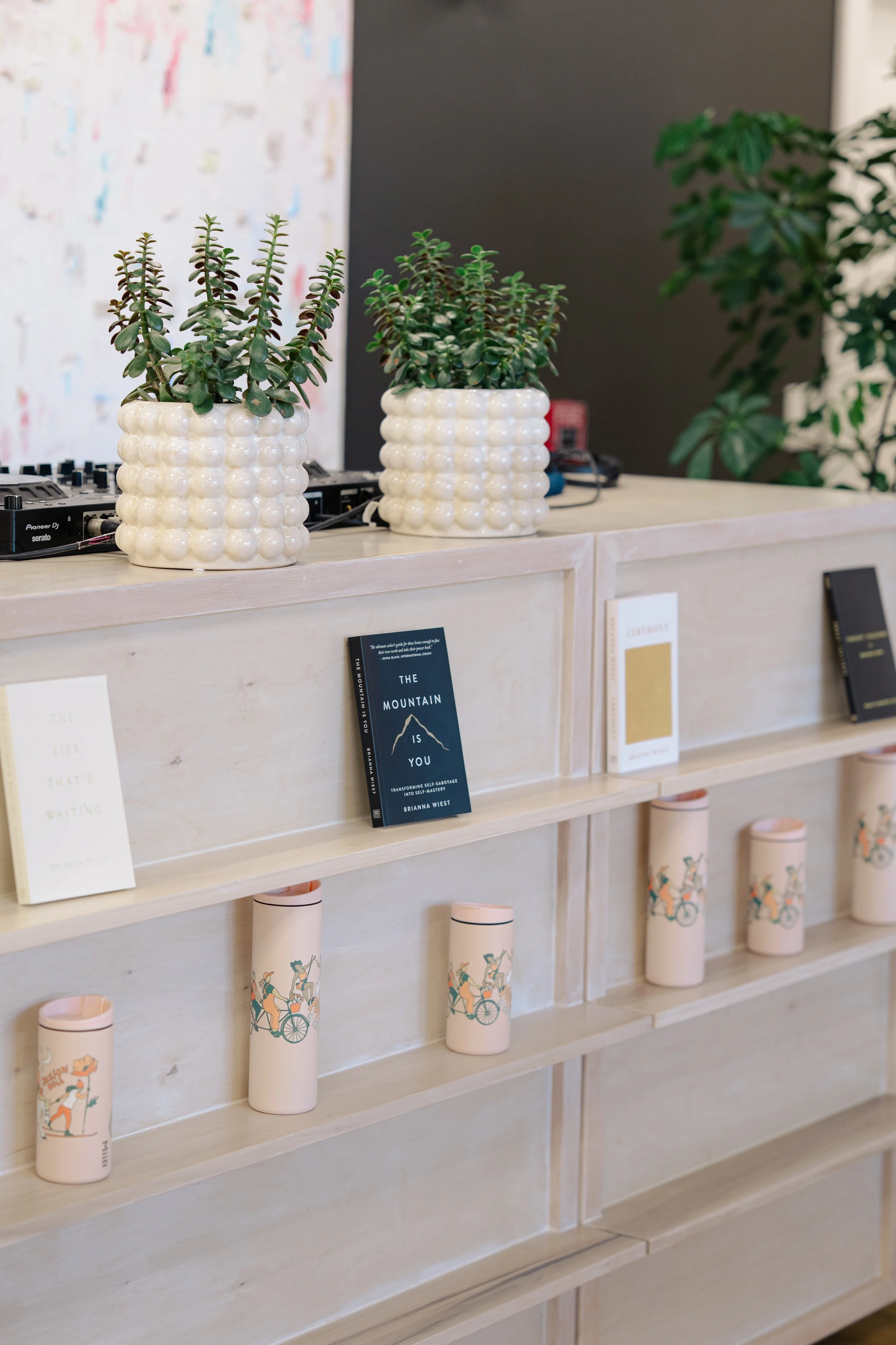 A light-colored wooden display shelf features three white ceramic planters with green plants, several books including titled 'The Mountain Is You', and pink cylindrical containers with illustrations of a person riding a bicycle.