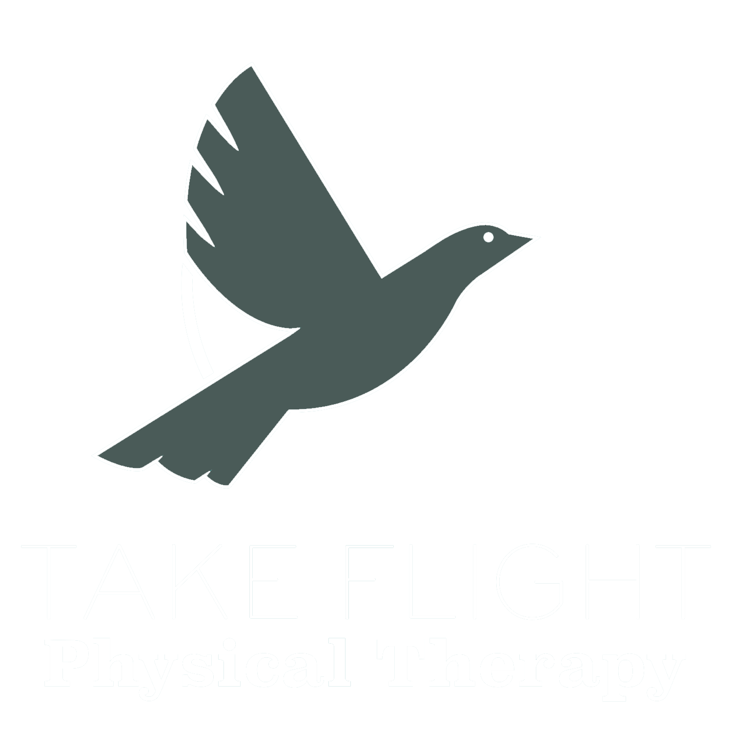 Take Flight Physical Therapy 