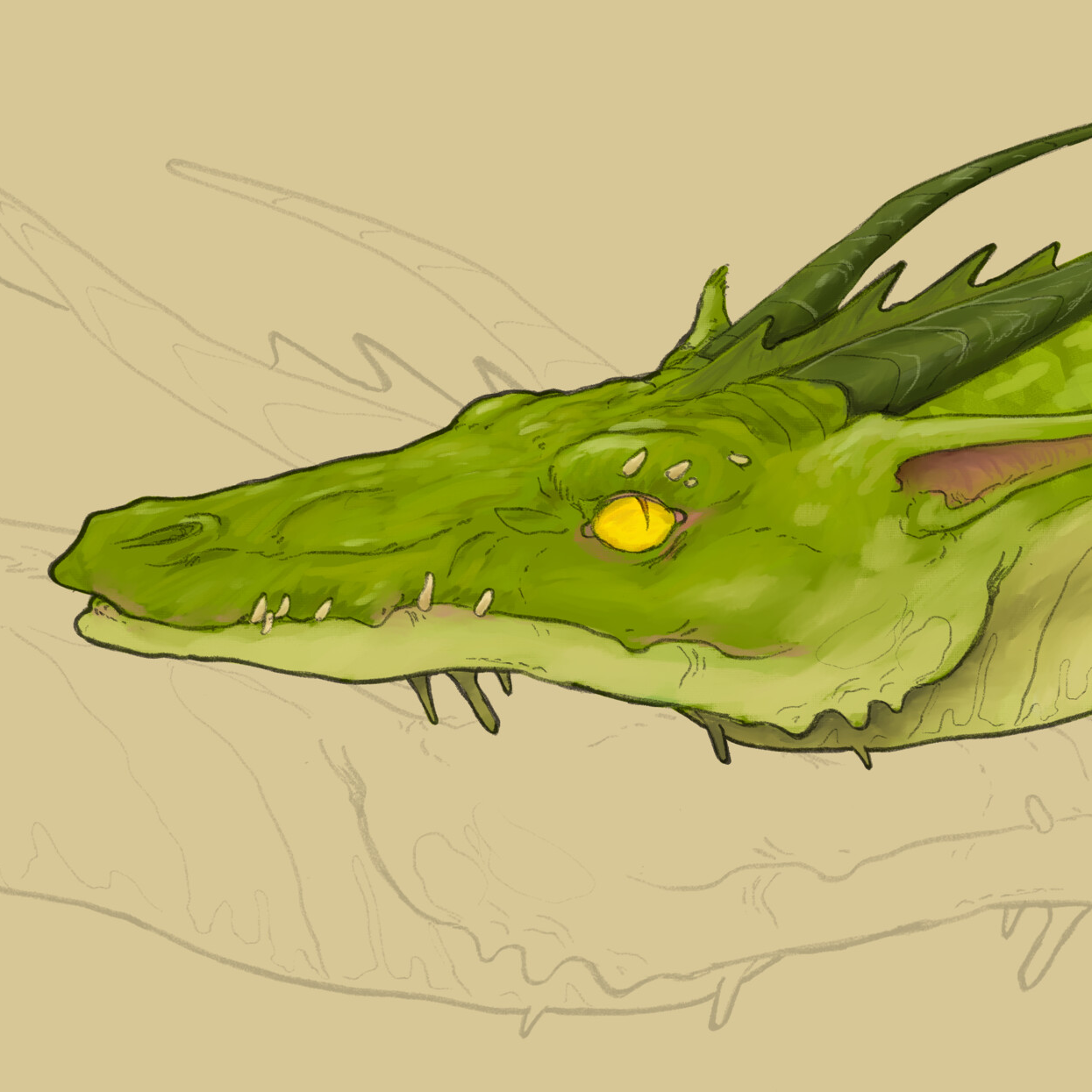 calvin-spain-green-dragon.png