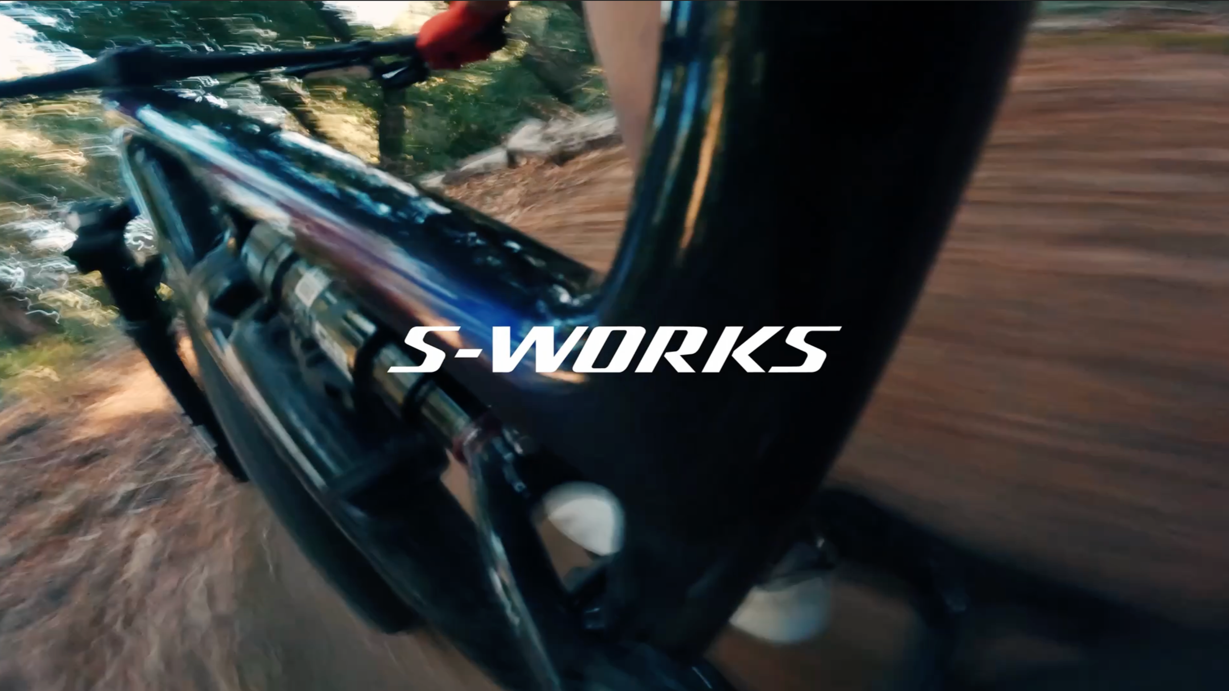 SPECIALIZED