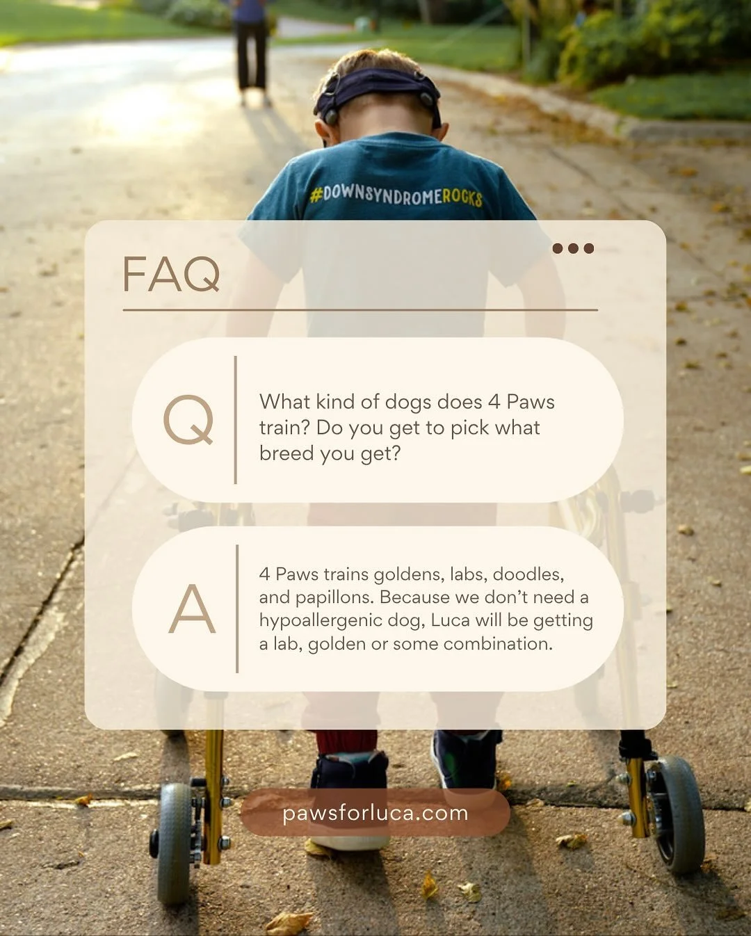 Here are some q+a that friends and family have been asking about Luca&rsquo;s service dog!! 

We are over halfway there towards our $20,000 goal and it&rsquo;s because y&rsquo;all are sharing, commenting and cheering Luca on. Thank you from the botto